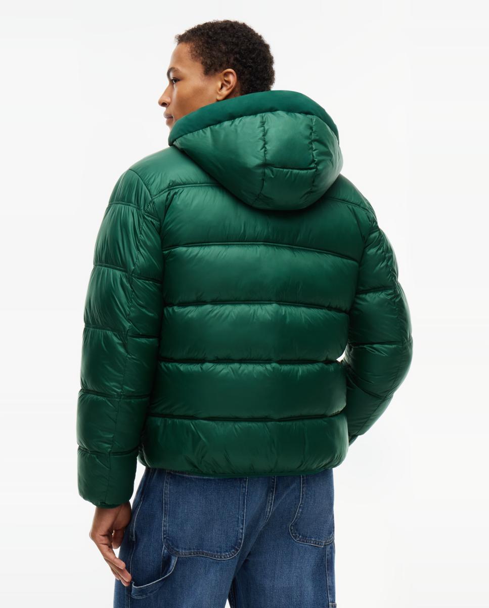 Casaco Acolchoado TJM Hooded Logo Jacket Ext Verde-escuro-2