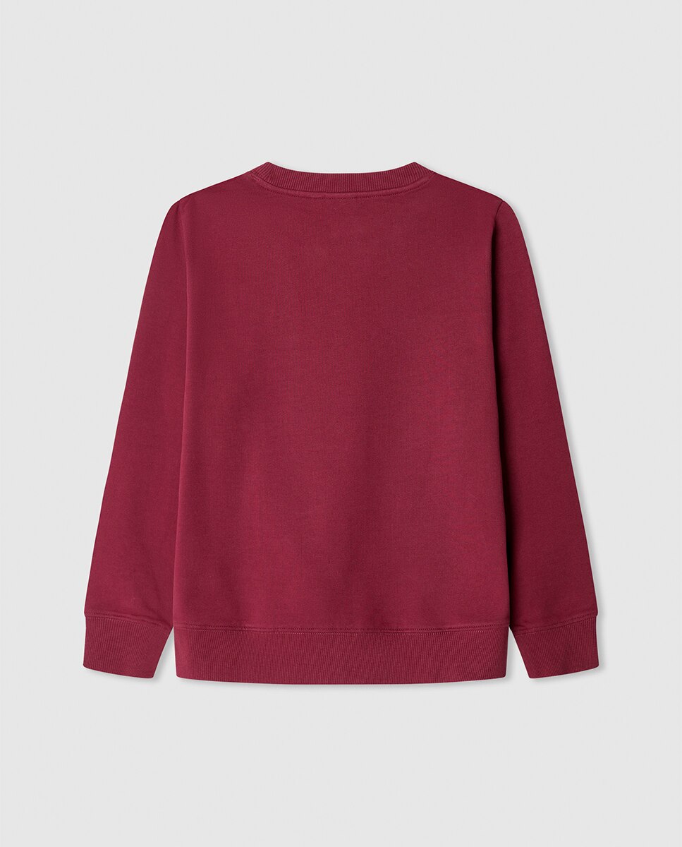 Sweatshirt Art Crewneck Pepe Jeans Grená-2