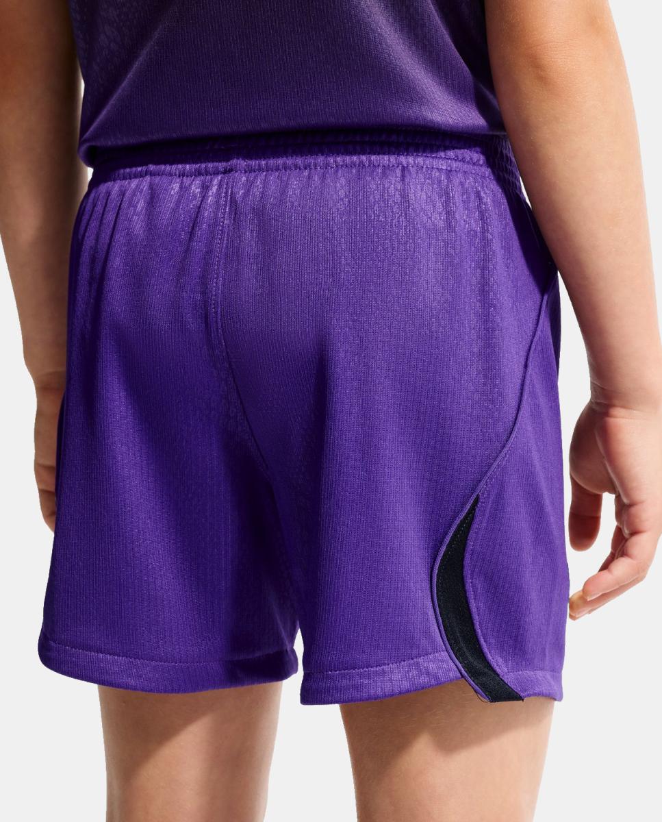 Conjunto de Criança 2.º Equipamento FC Barcelona 2026-2027 Roxo-5