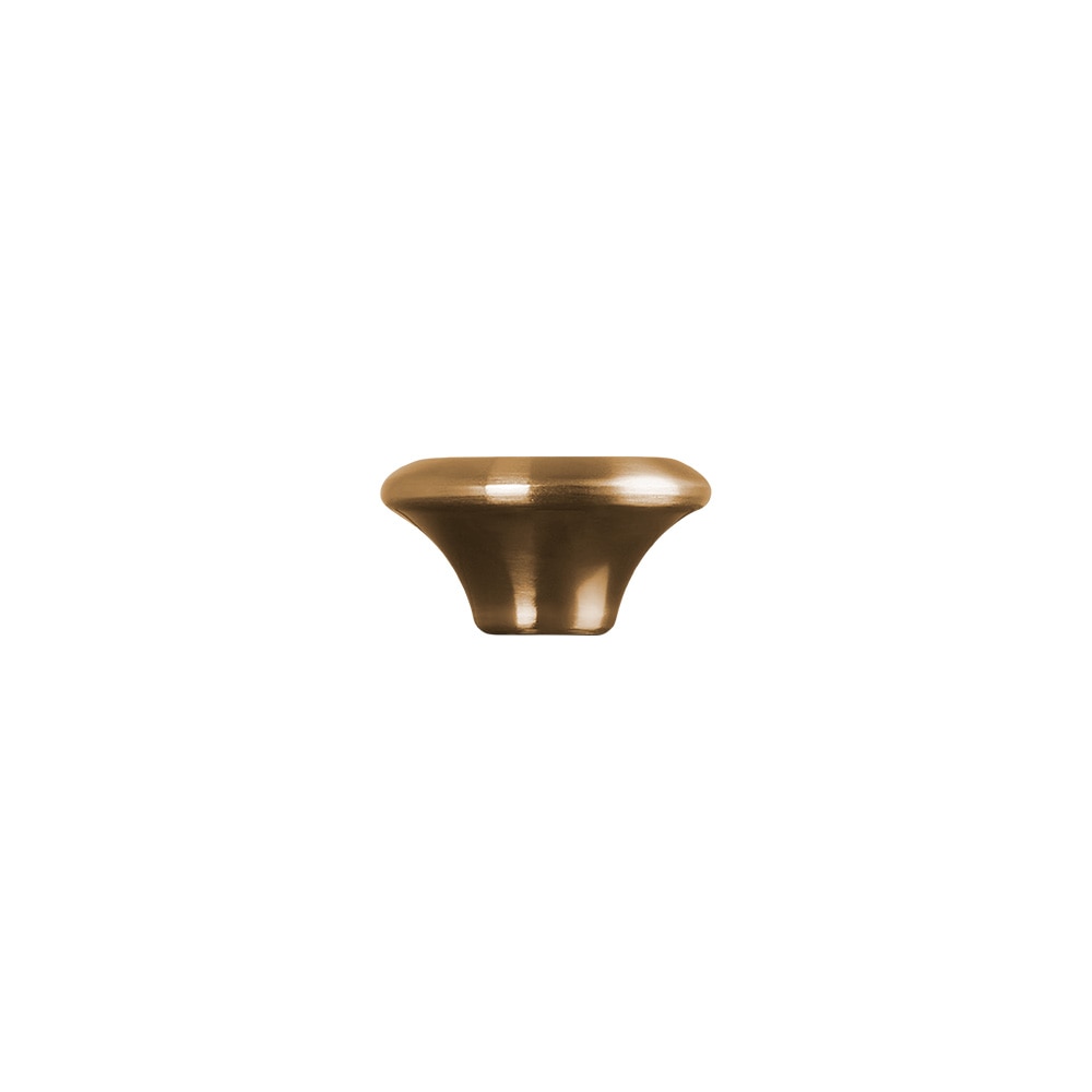 Pomo Evolution Dorado Le Creuset - Oro 4,7 cm Oro-2