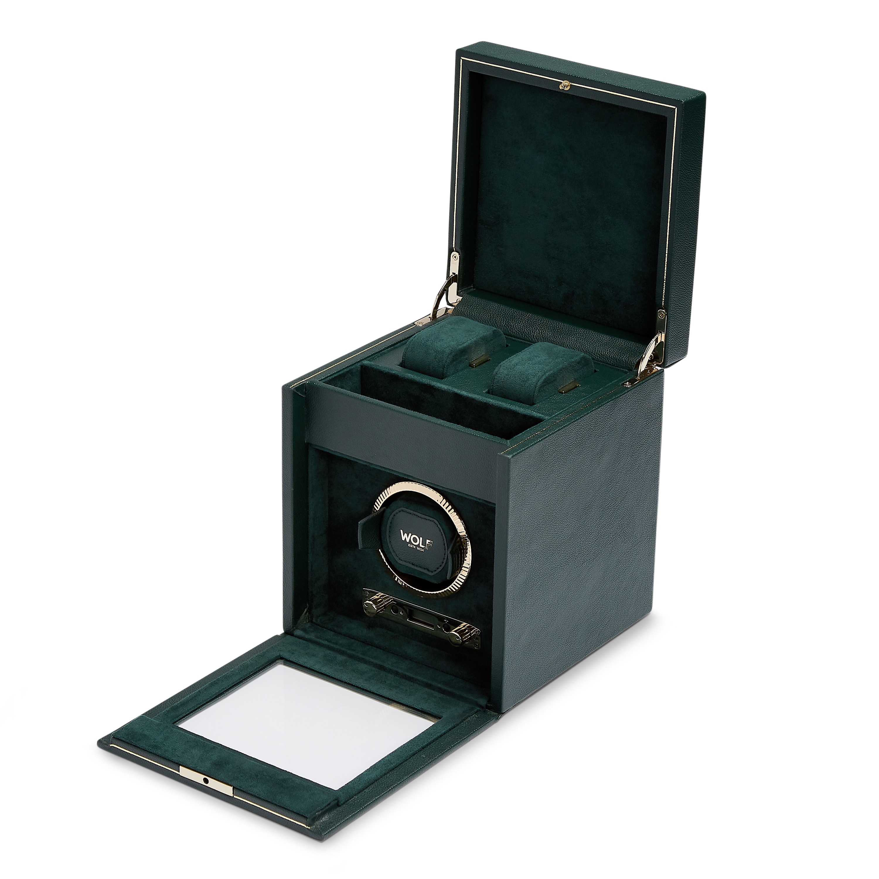 Relojero British racing en color para solo uno reloj con espacio adicional - Wolf - Verde Verde-2