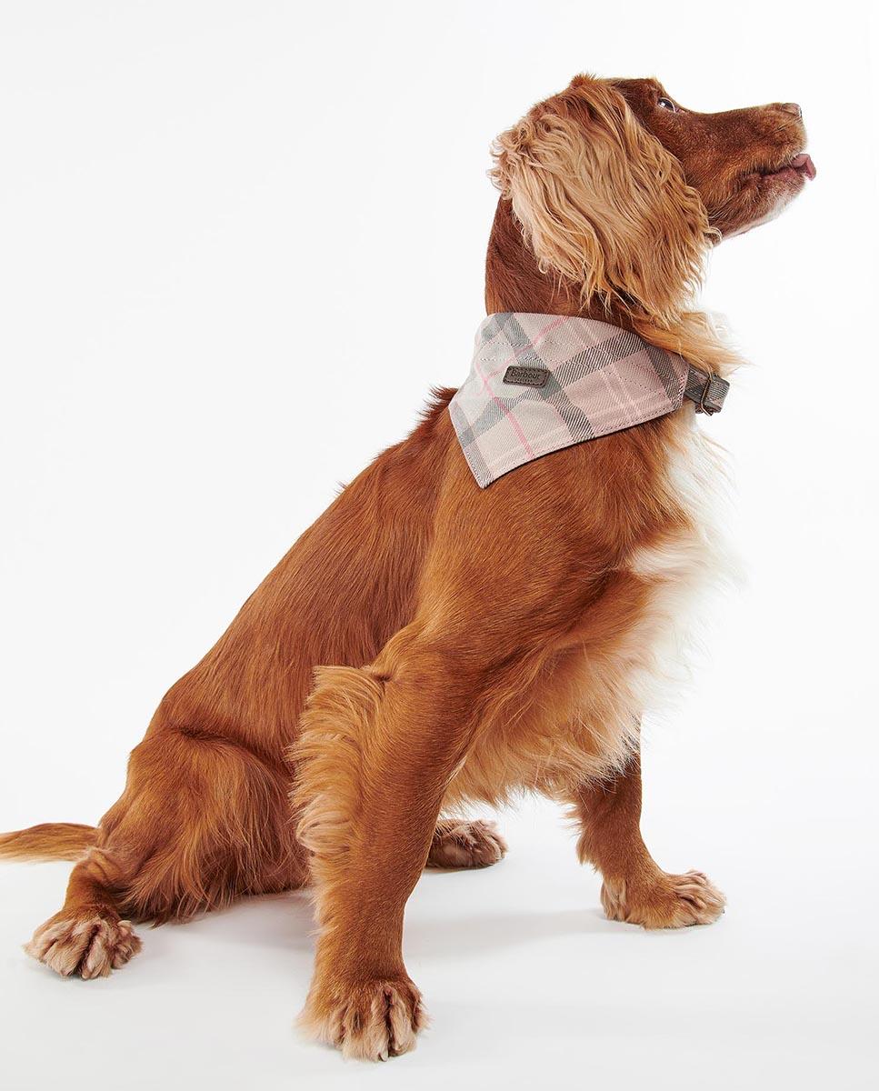 Bandana Barbour Tartan Dog Bandana Rosa-1