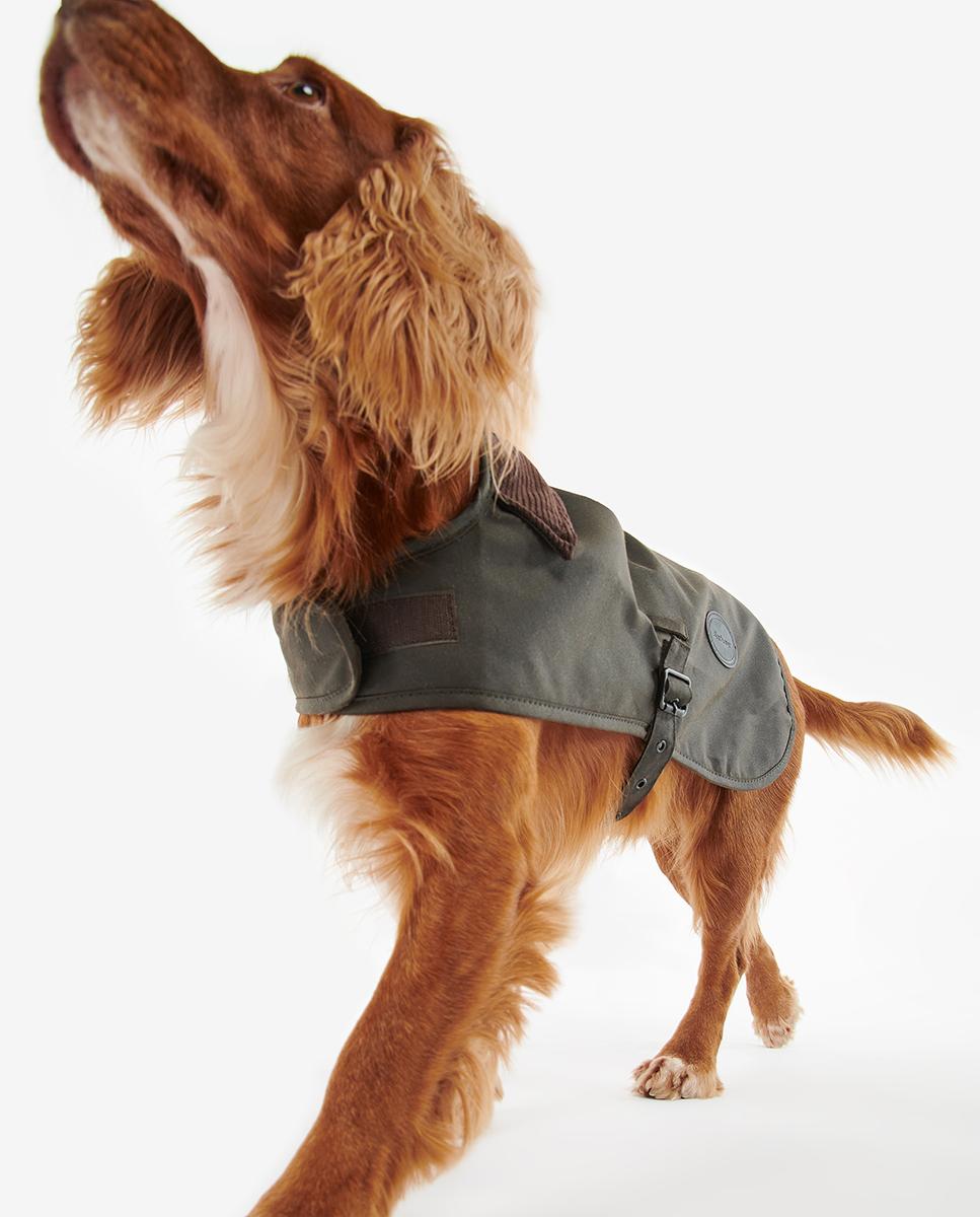 Abrigo Barbour Wax Dog Coat - Verde Verde-3