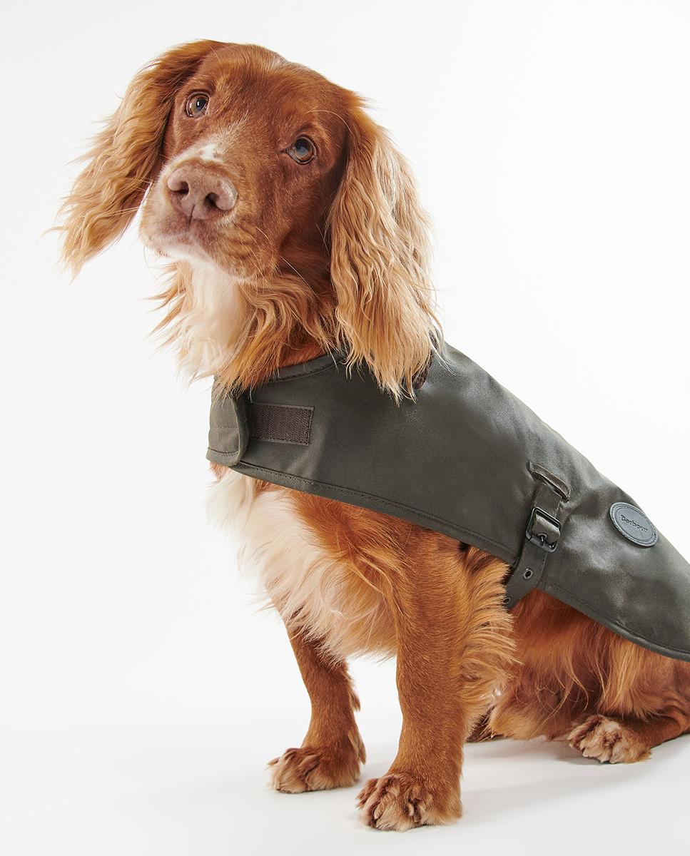 Abrigo Barbour Wax Dog Coat - Verde Verde-4