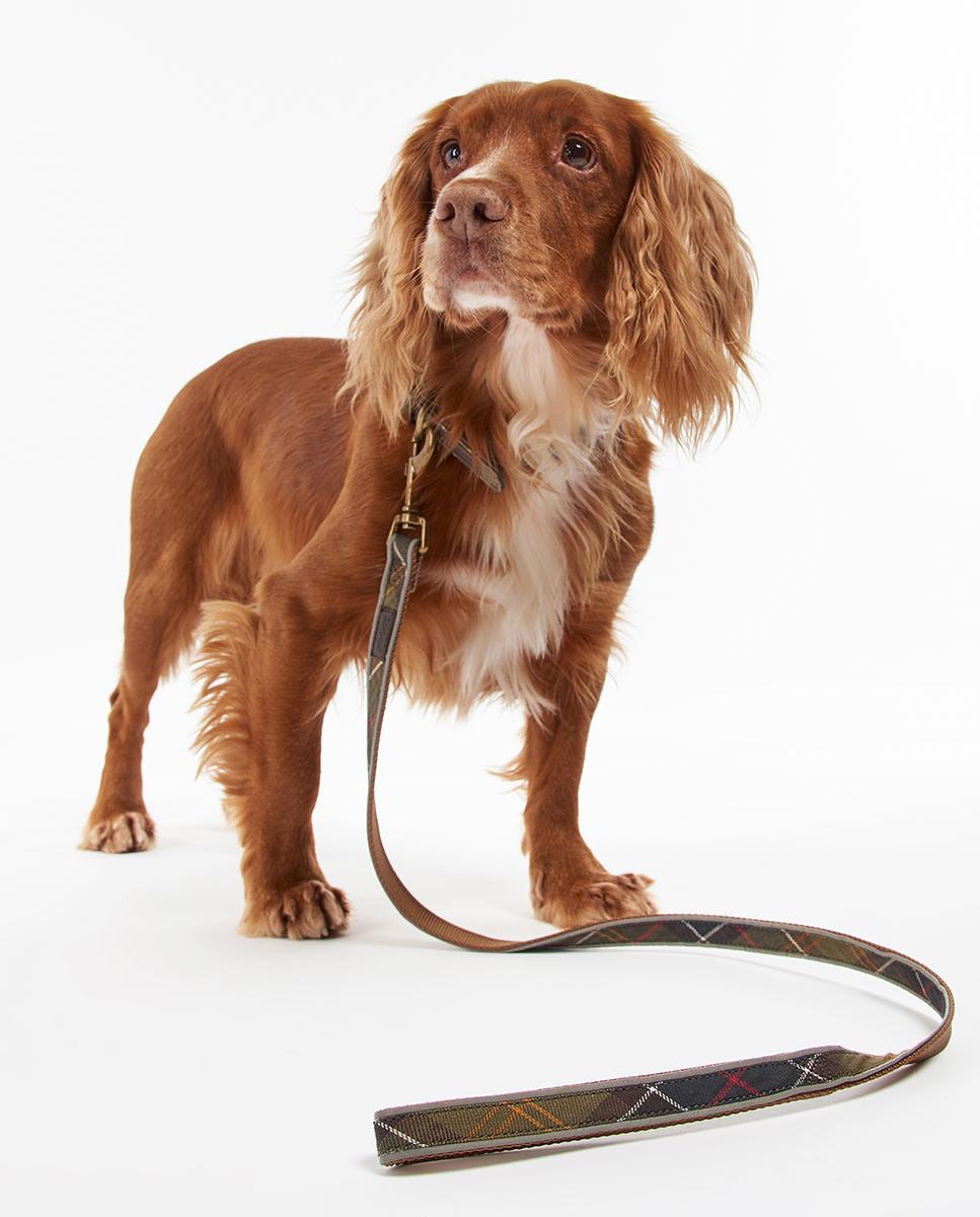 Correa Barbour Reflective Tartan Dog Lead Multicolor-2