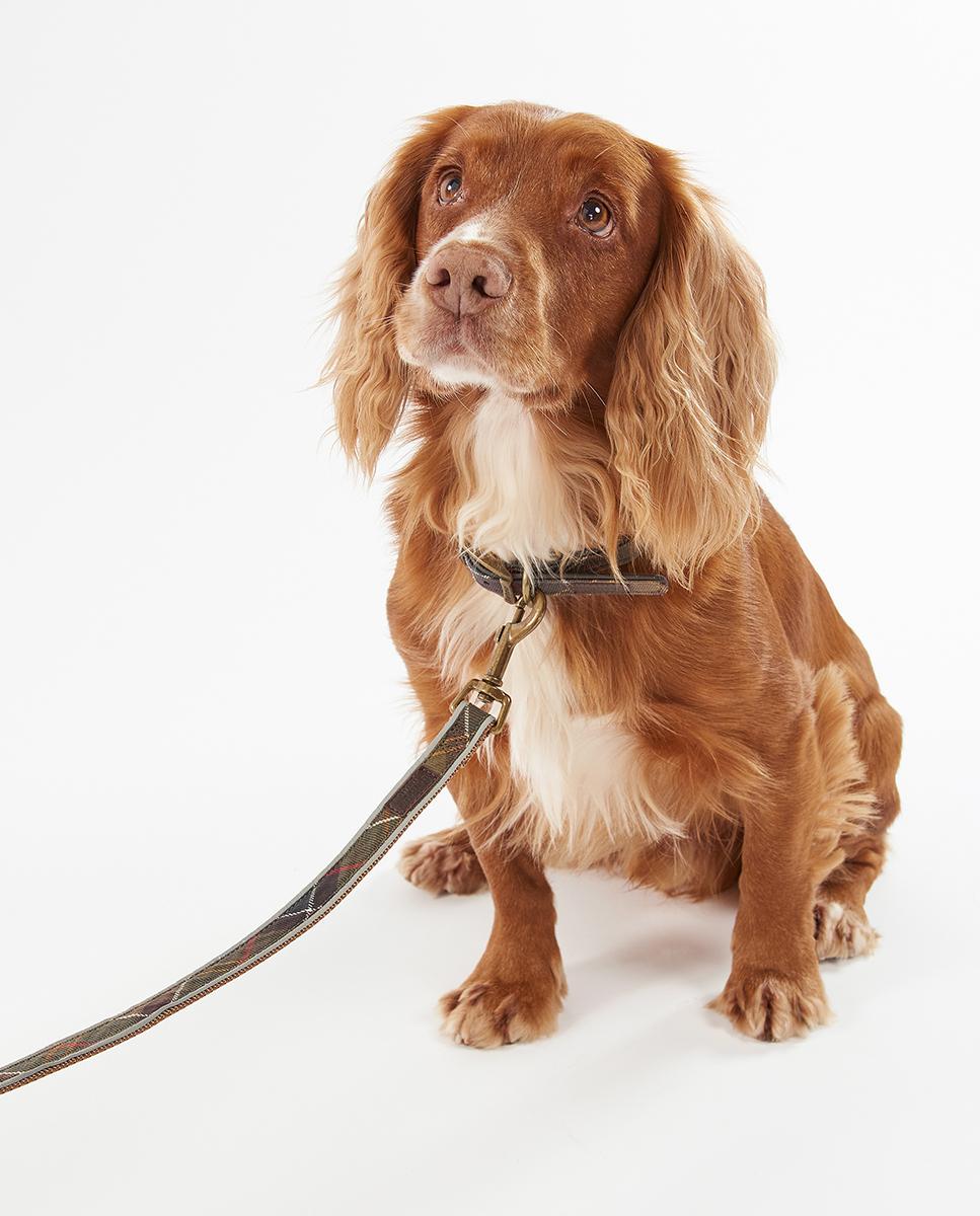 Correa Barbour Reflective Tartan Dog Lead Multicolor-3