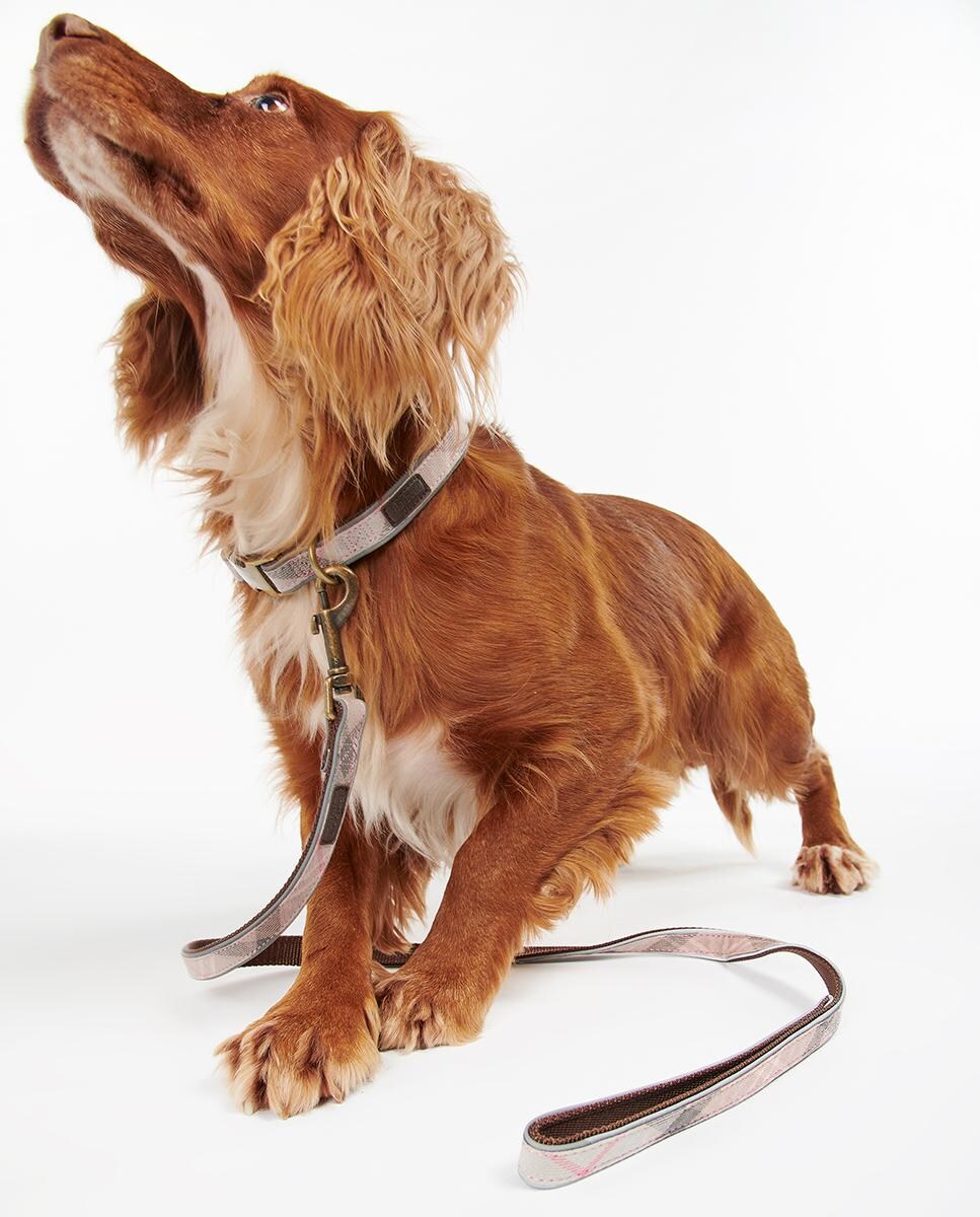 Correa Barbour Reflective Tartan Dog Lead Marrón-2