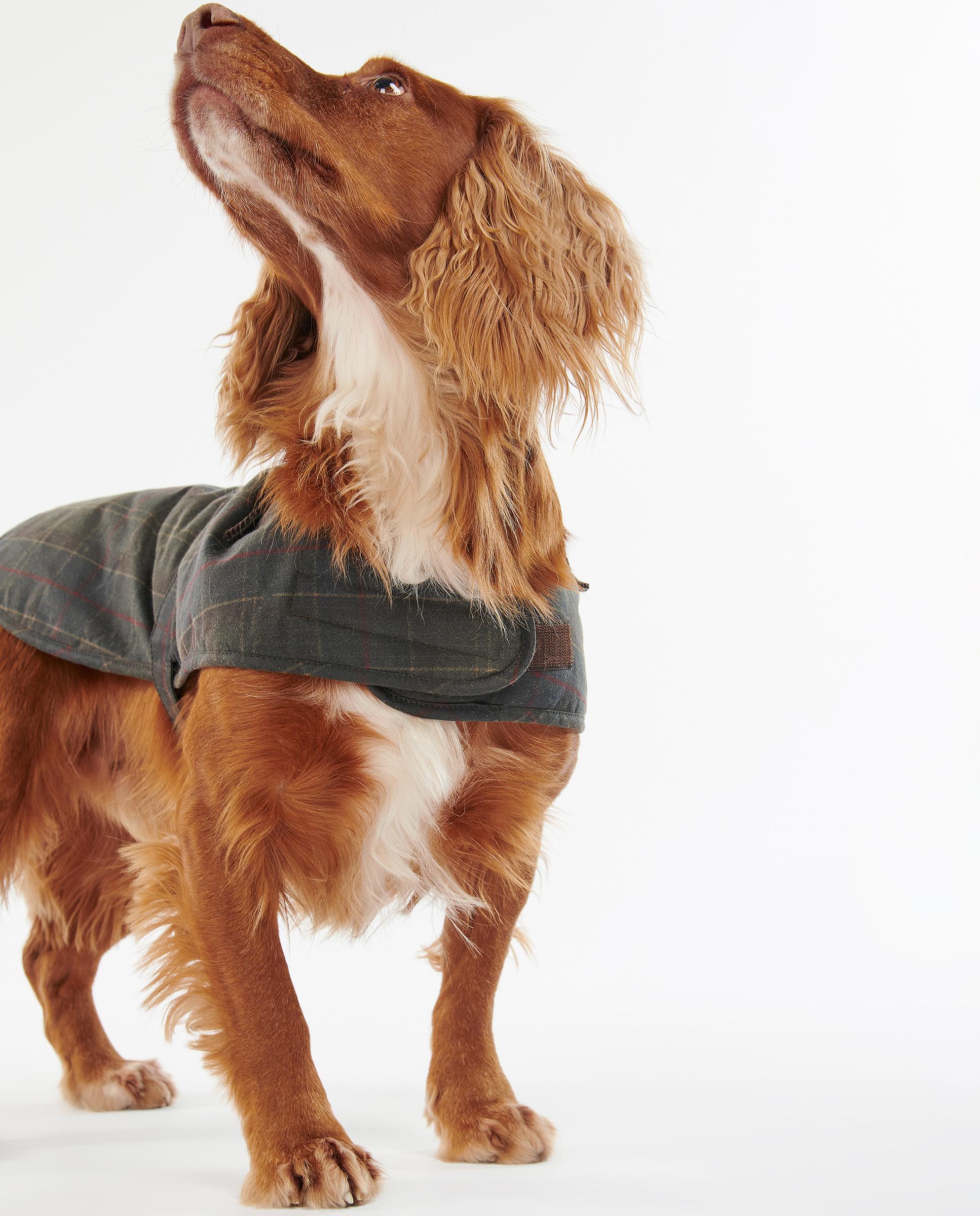 Abrigo Barbour Tartan Wax Dog Coat Verde-3