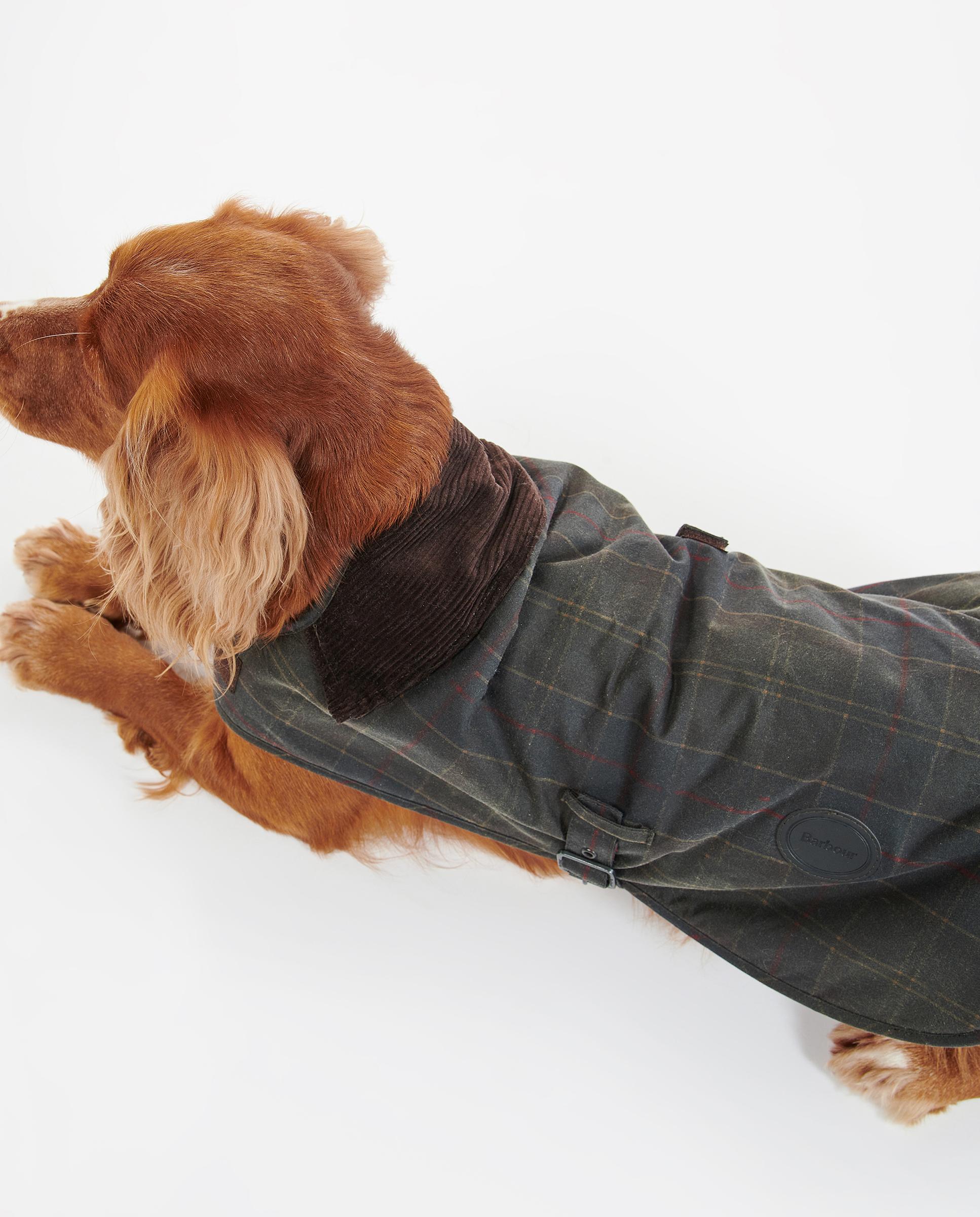 Abrigo Barbour Tartan Wax Dog Coat Verde-4