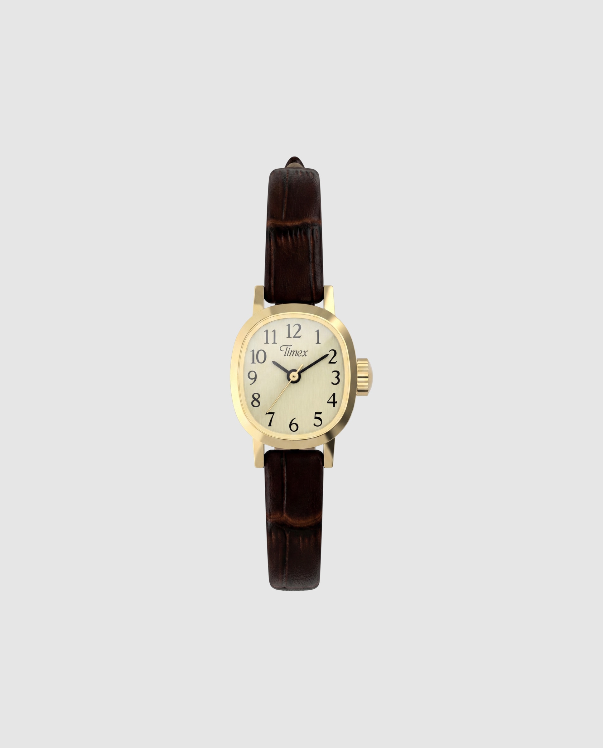 Imagen 0 de Reloj de mujer trend tw2y87700 de piel y correa marrón Marrón
