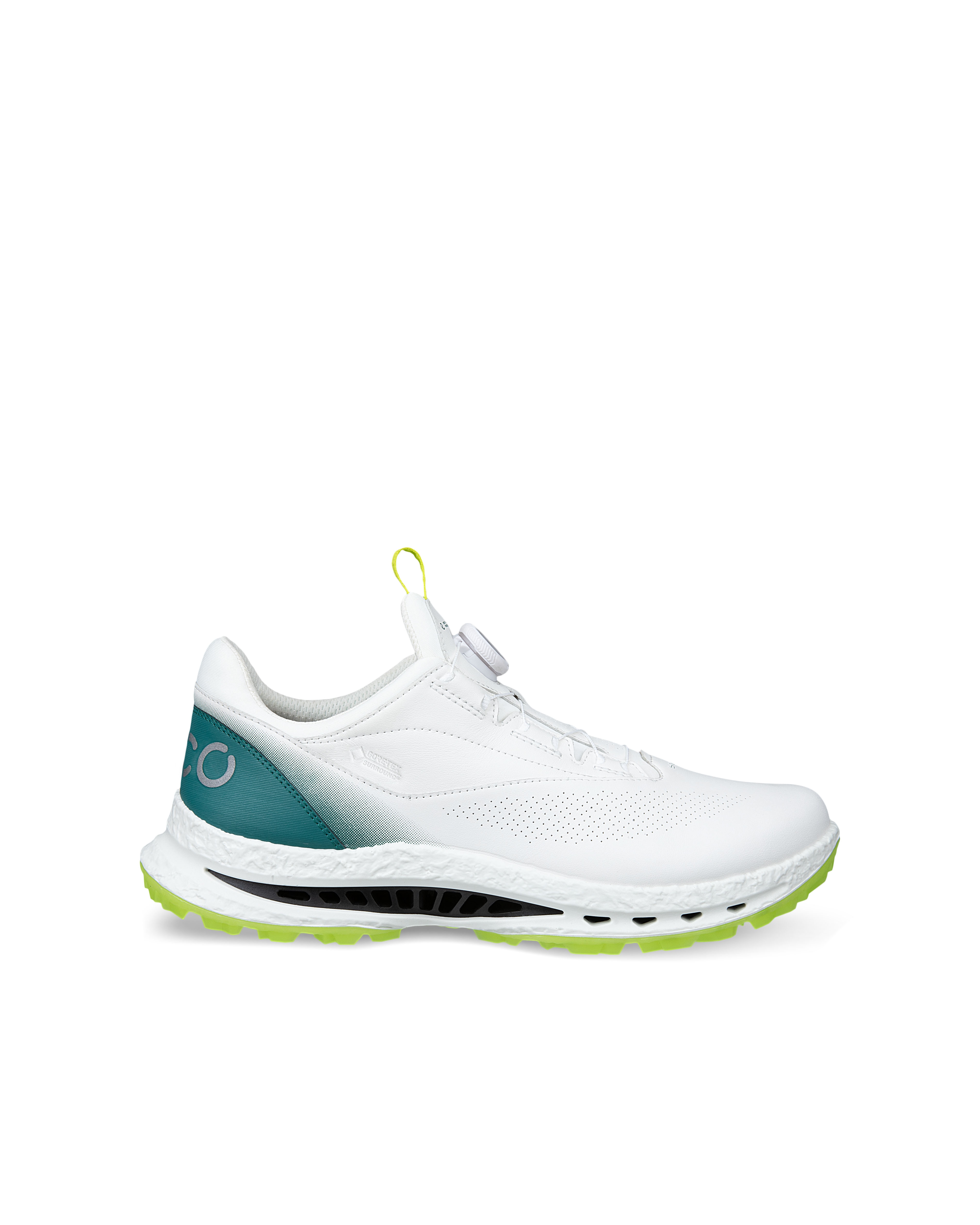 Zapatos de Golf de Hombre Golf Biom C5 Boa Ecco - Verde Verde-1