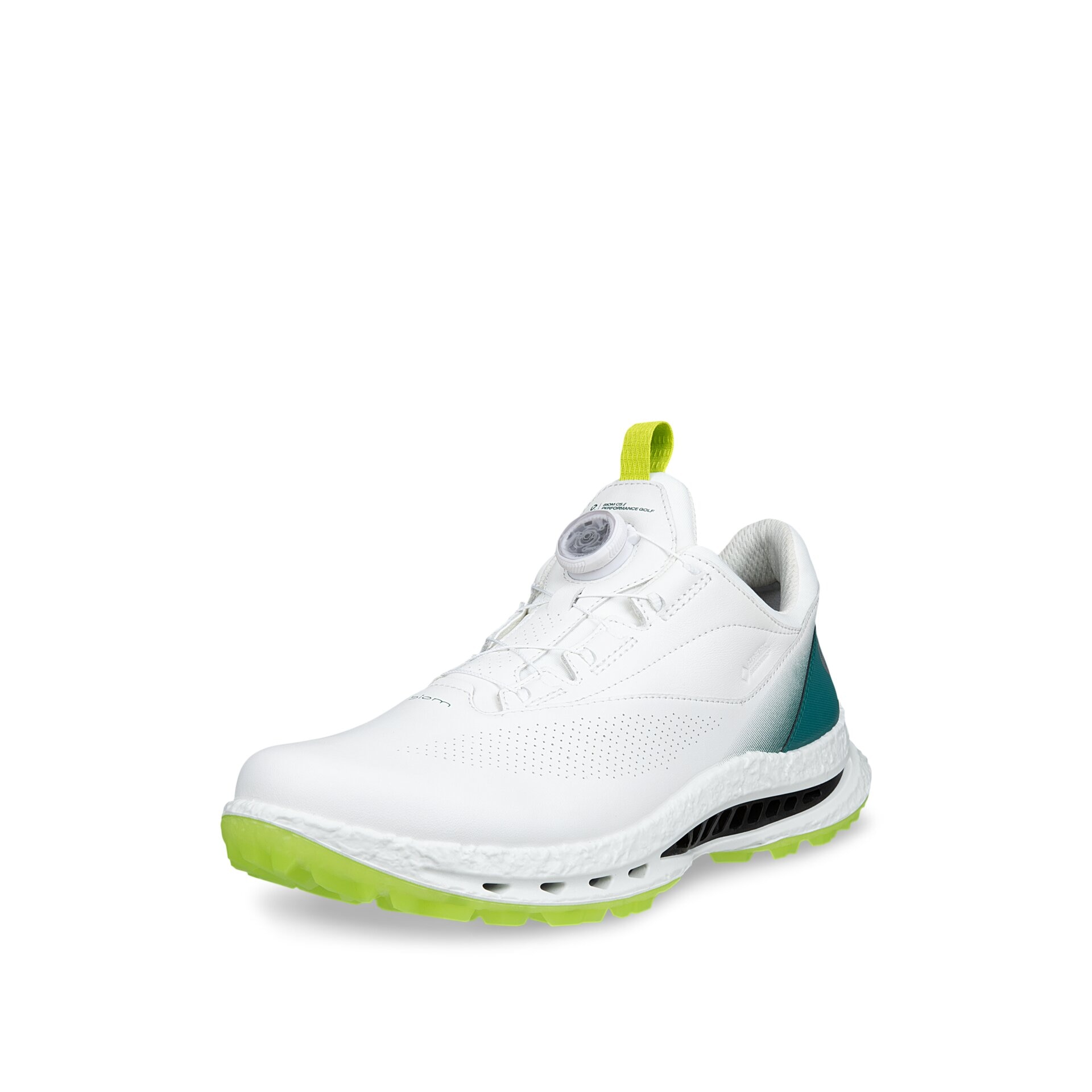Zapatos de Golf de Hombre Golf Biom C5 Boa Ecco - Verde Verde-3