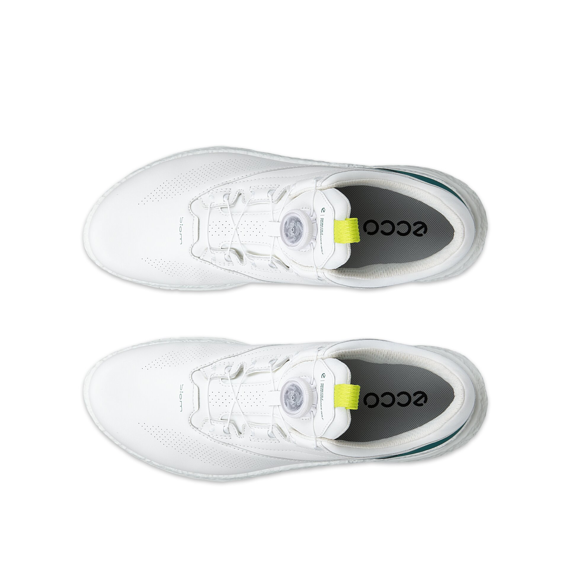 Zapatos de Golf de Hombre Golf Biom C5 Boa Ecco - Verde Verde-6