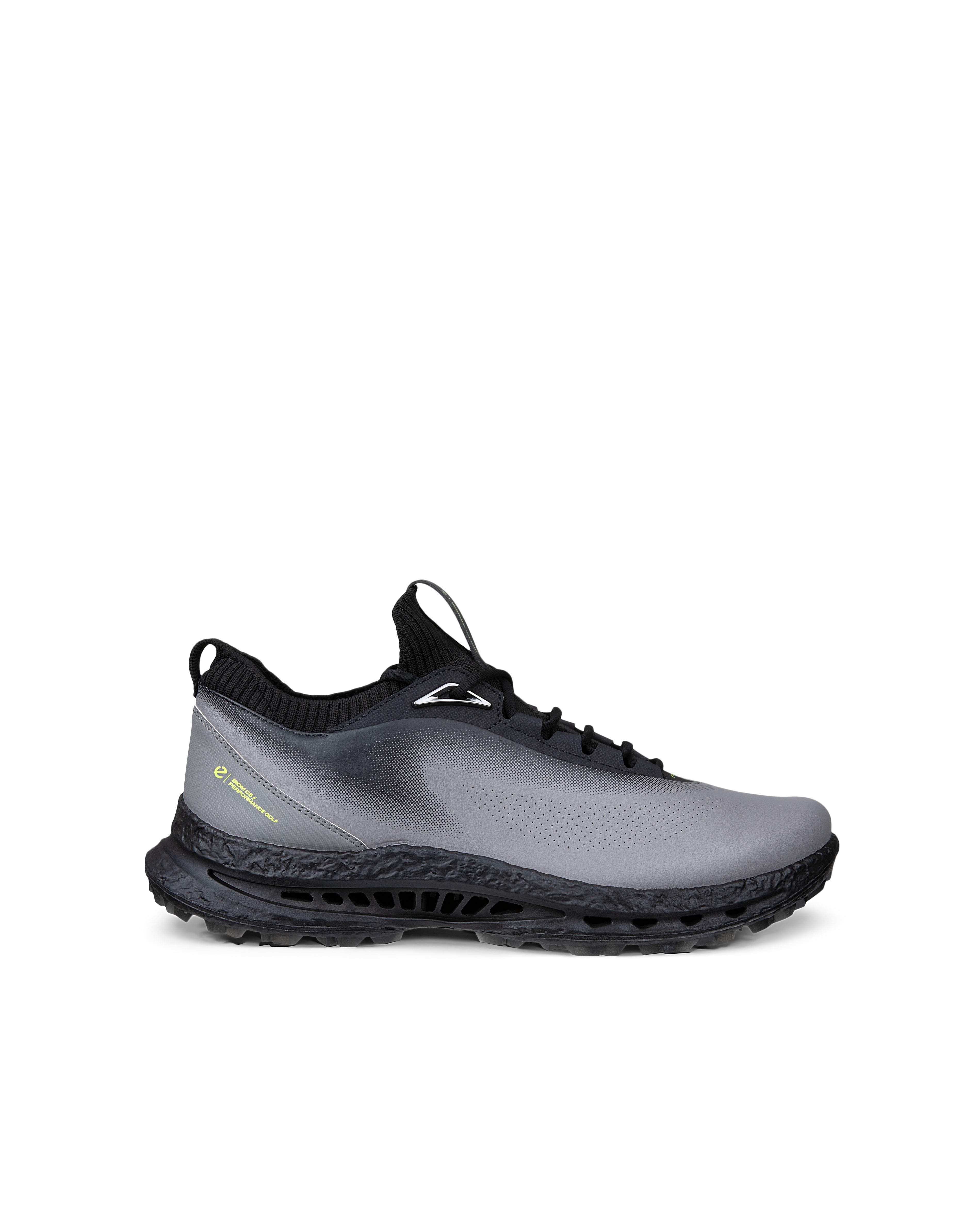 Imagen 0 de Zapatos de Golf de Hombre Golf Biom C5 Ecco Gris