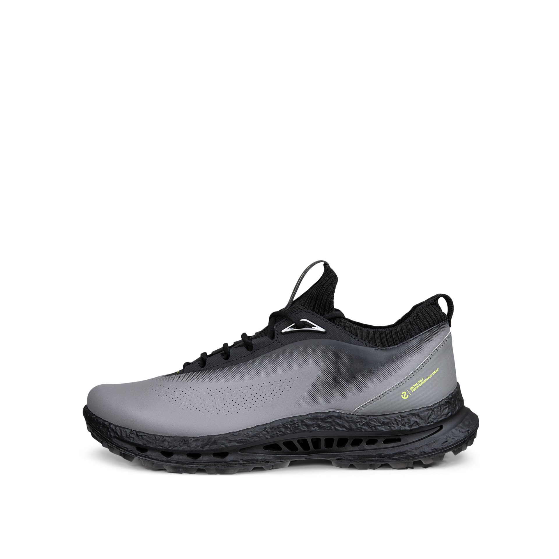 Zapatos de Golf de Hombre Golf Biom C5 Ecco - Gris Gris-2