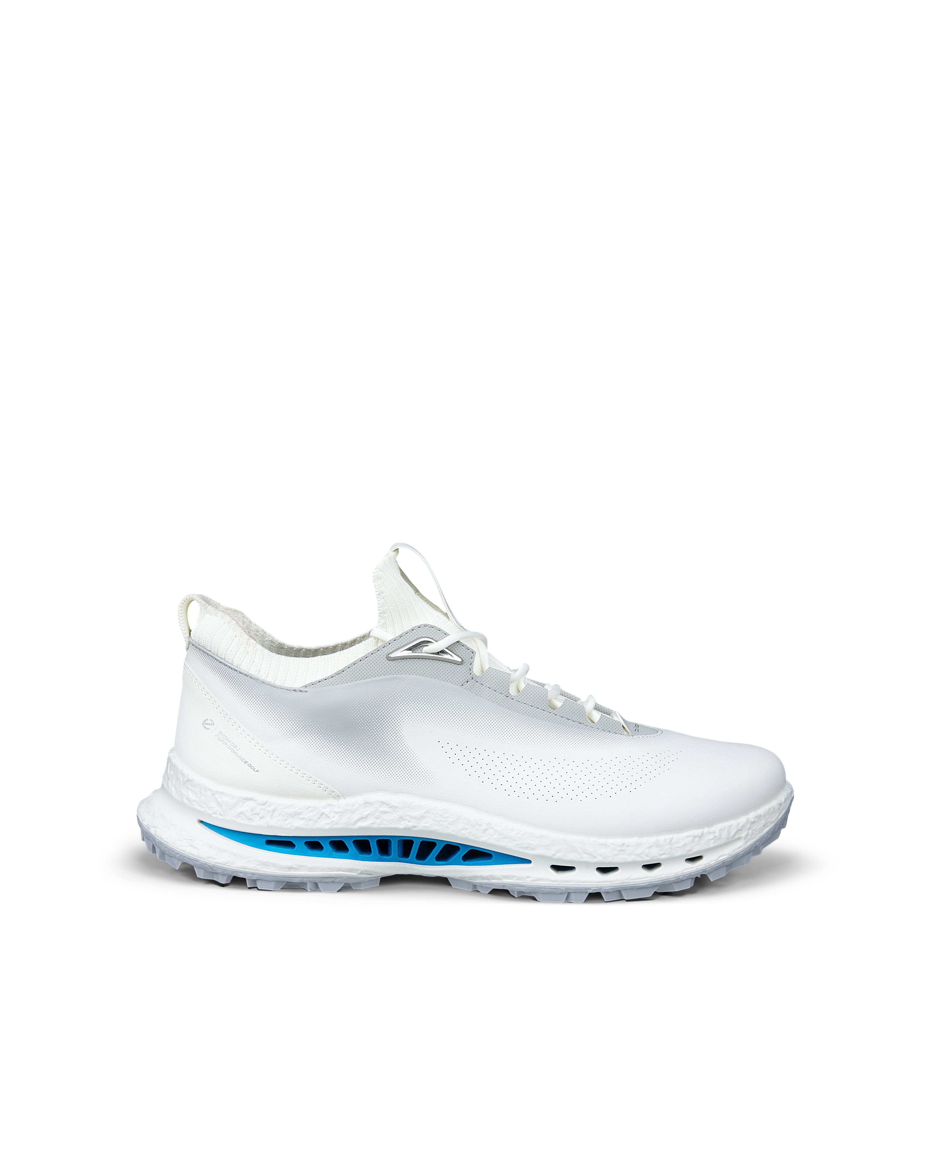 Zapatos de Golf de Hombre Golf Biom C5 Ecco - Azul Azul-1