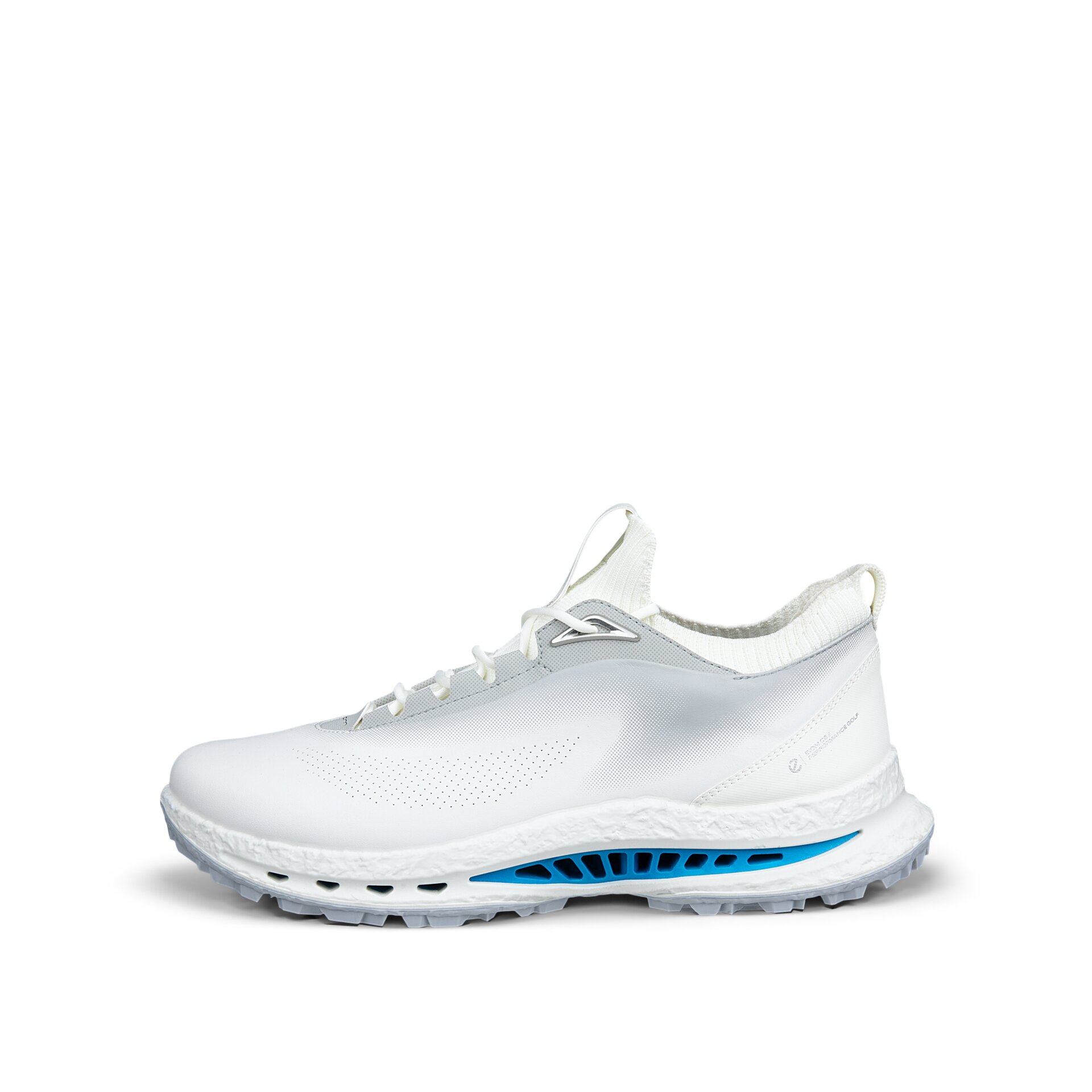 Zapatos de Golf de Hombre Golf Biom C5 Ecco - Azul Azul-2