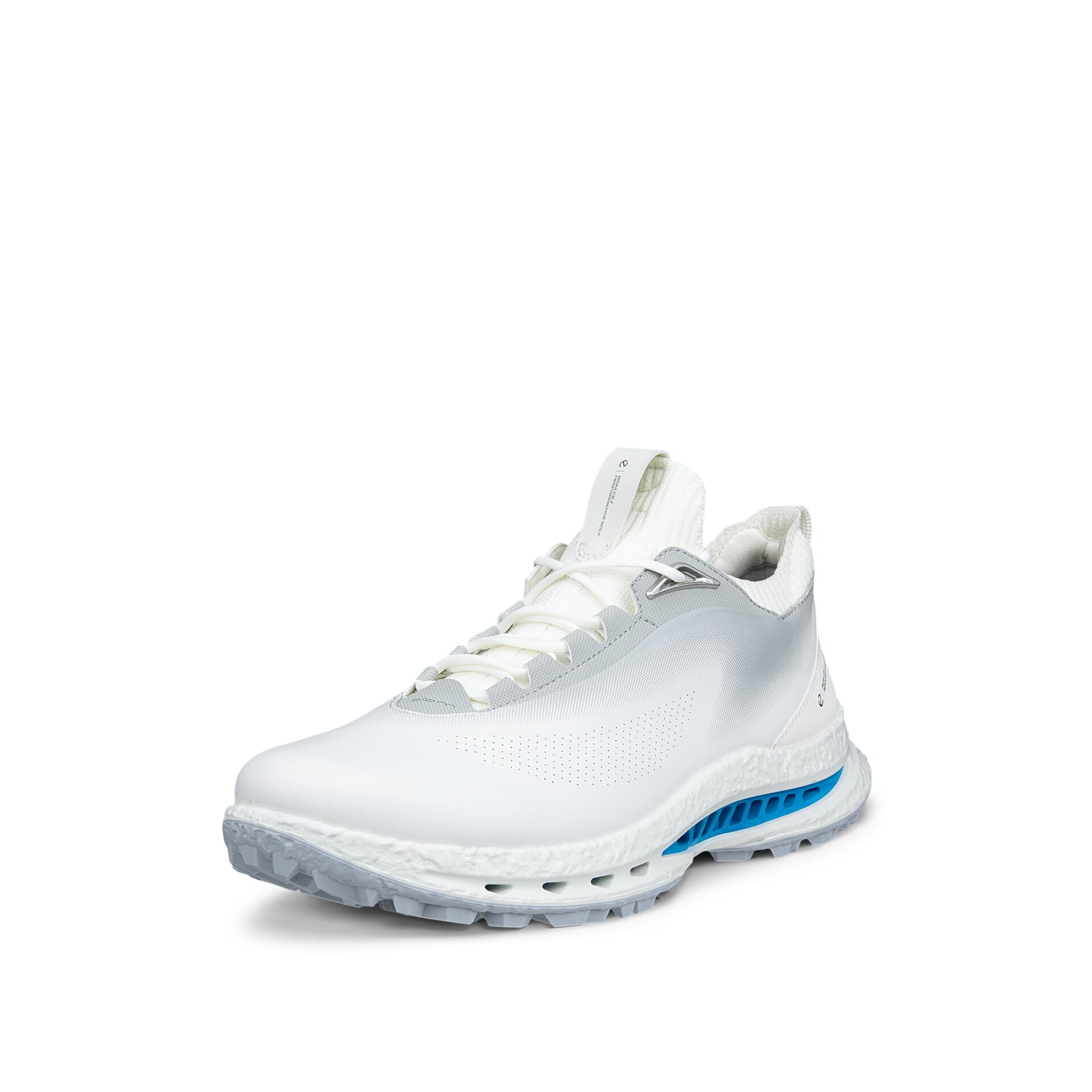 Zapatos de Golf de Hombre Golf Biom C5 Ecco - Azul Azul-3