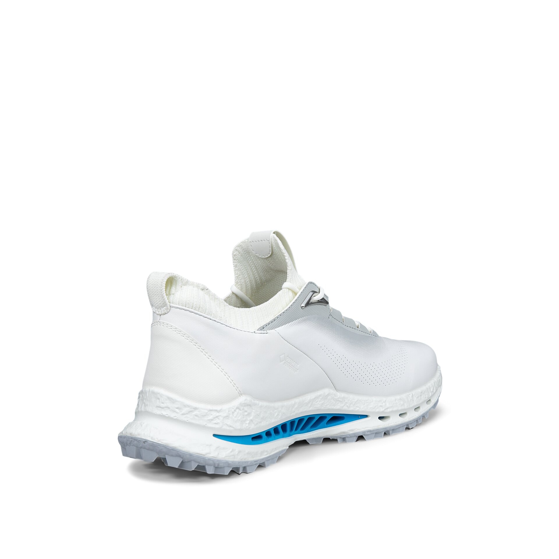Zapatos de Golf de Hombre Golf Biom C5 Ecco - Azul Azul-4