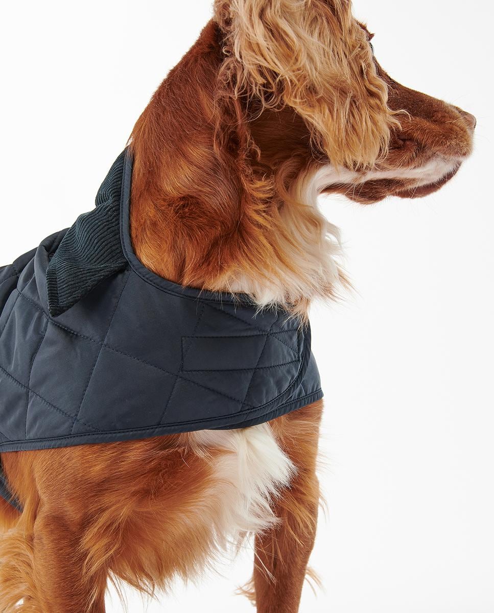 Jacket Abrigo Barbour El Corte Ingles Perro Barbour Para Teckel
