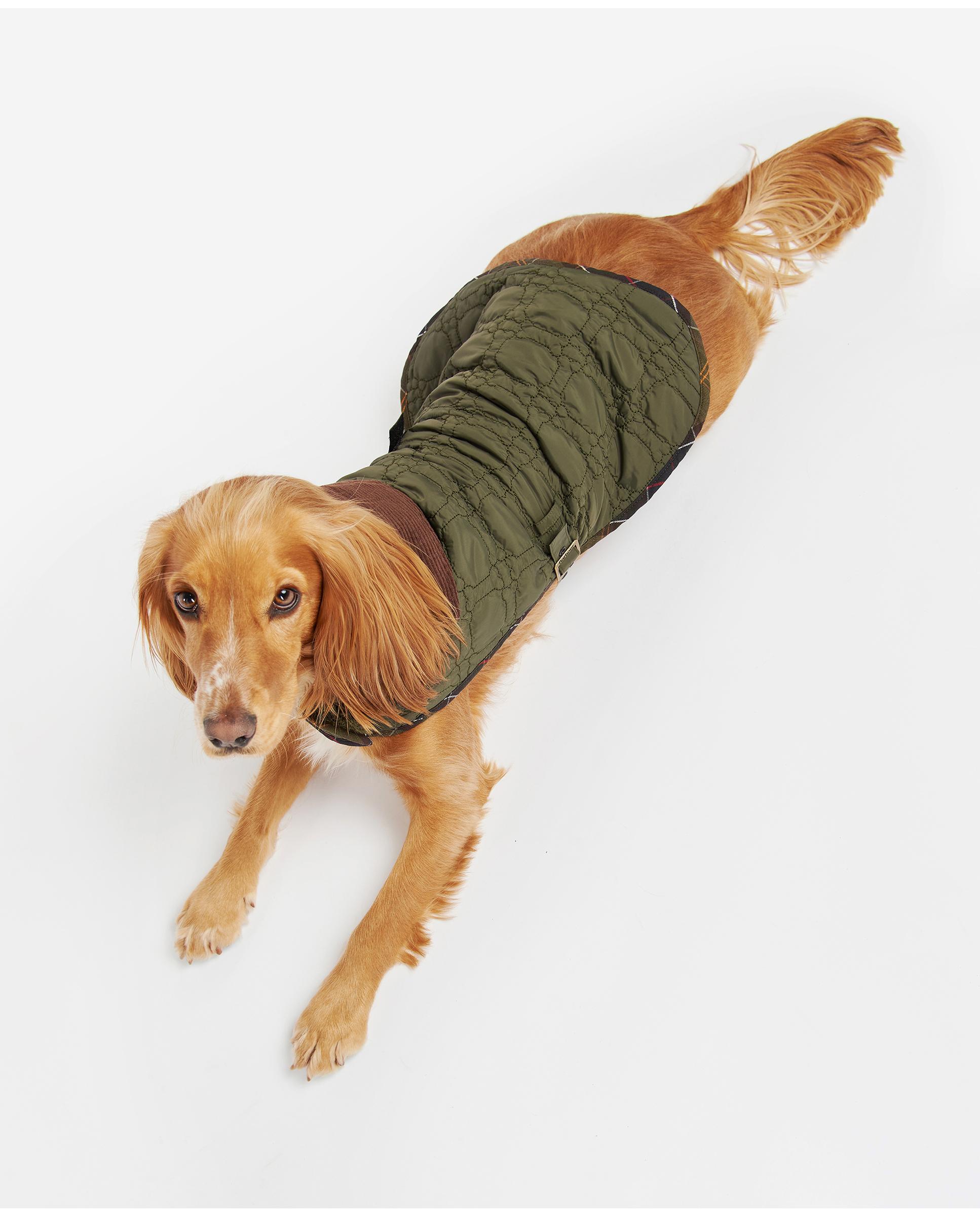 Abrigo Barbour Dog Bone Quilted Dog Coat Verde-2