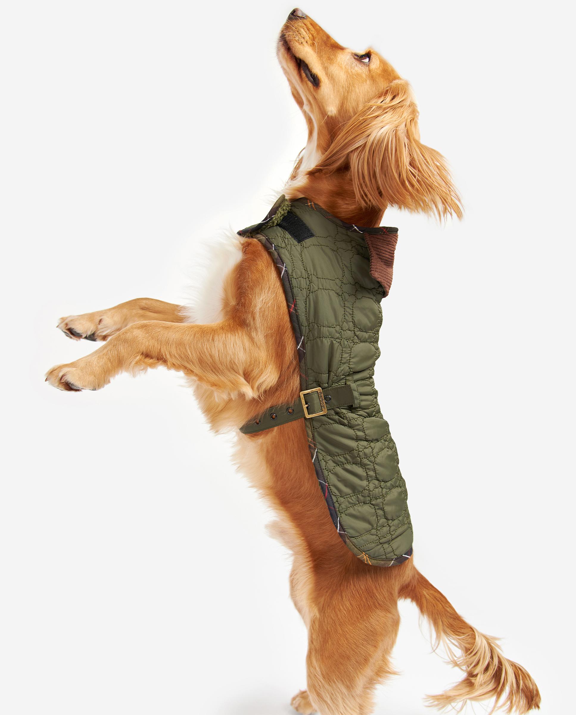 Abrigo Barbour Dog Bone Quilted Dog Coat Verde-3