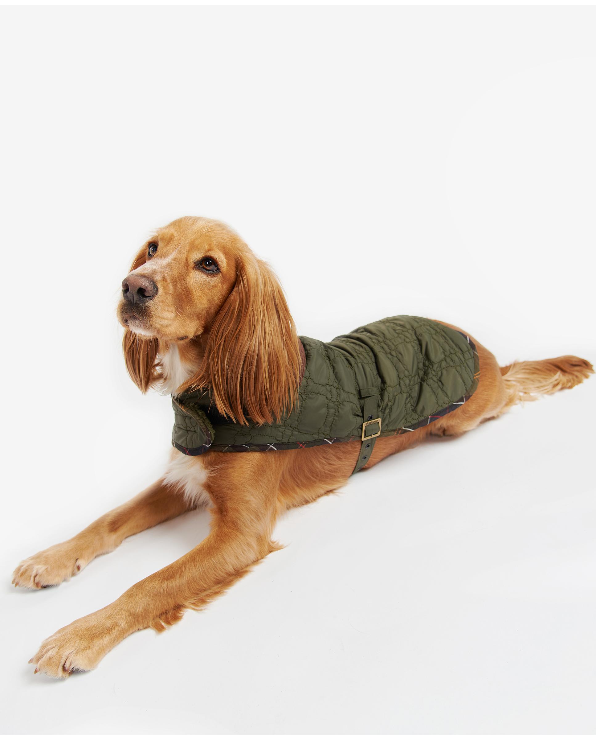 Abrigo Barbour Dog Bone Quilted Dog Coat Verde-4