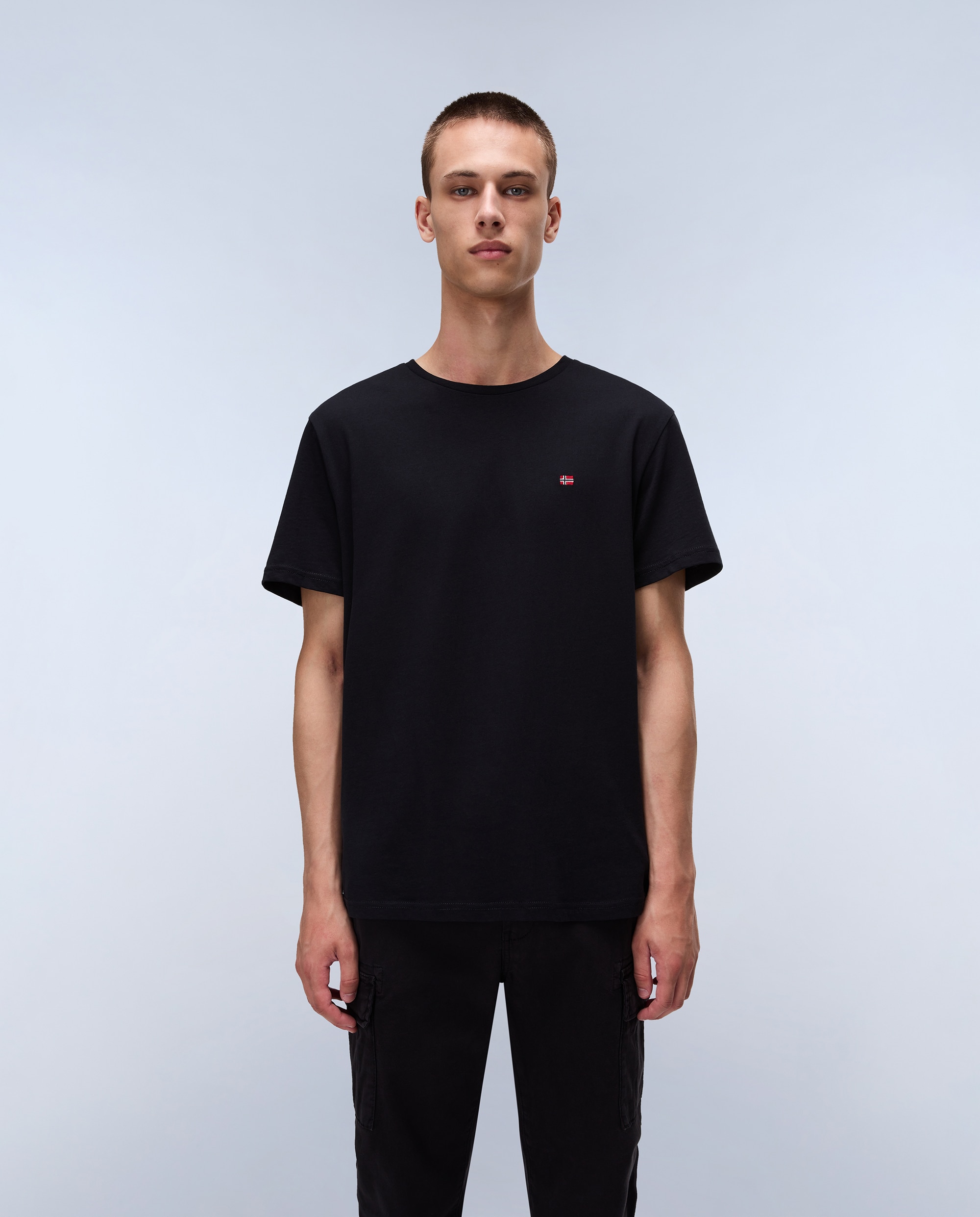 Napapijri - Camiseta de hombre Salis SS de manga corta.