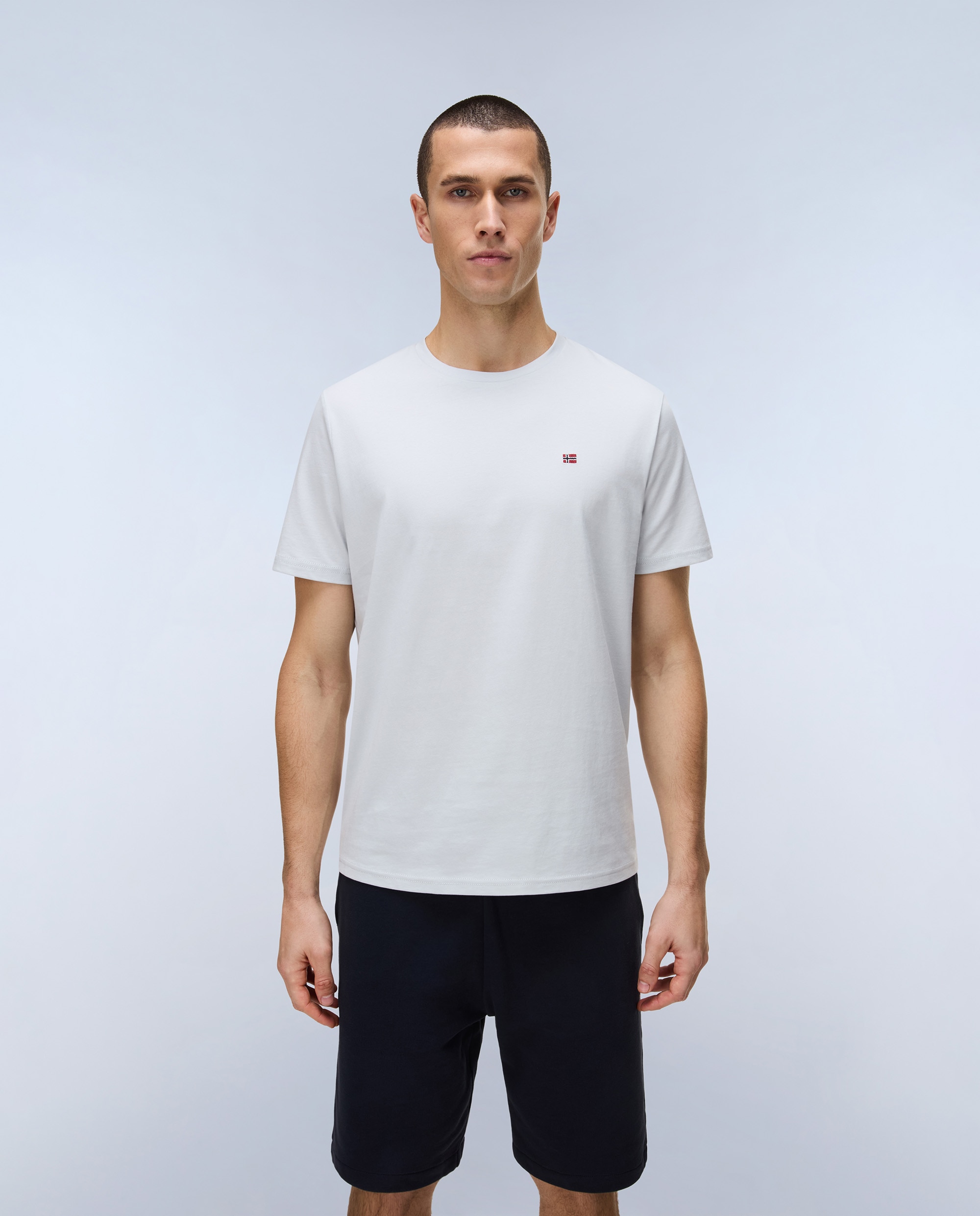 Camiseta de algodón de hombre salis de manga corta - Napapijri - Gris claro Gris claro-1