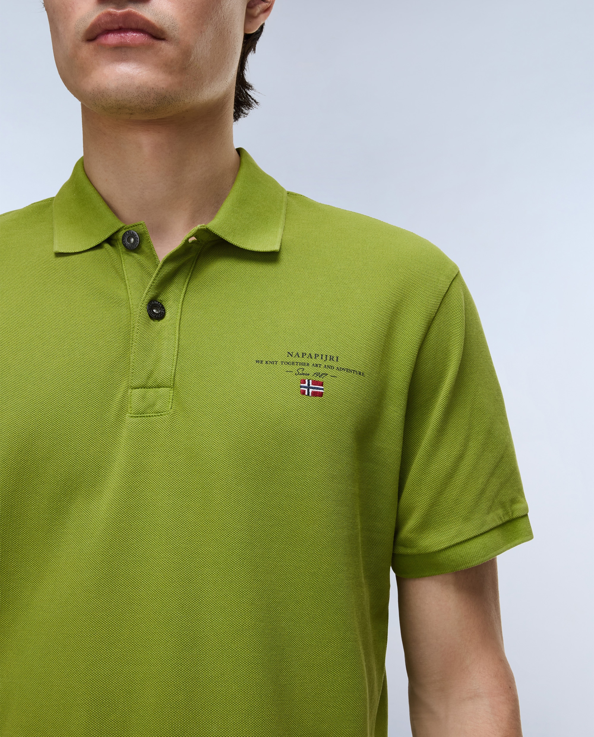 Polo de piqué y manga corta de hombre elbas de corte regular - Napapijri - Verde Verde-3