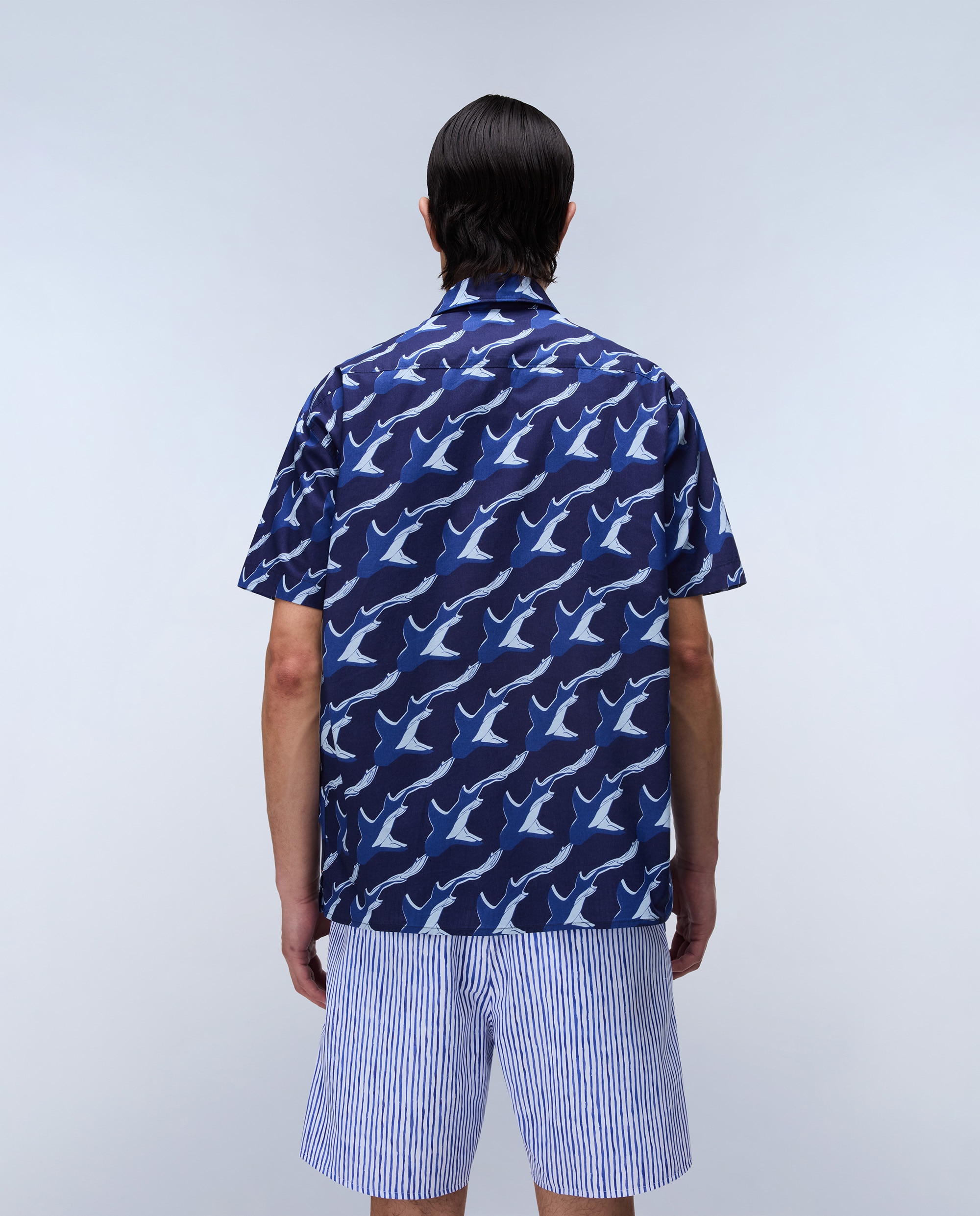 Imagen 4 de Camisa de algodón elior de hombre con manga corta de corte relaxed estampada - Napapijri - Azul Océano Azul Océano