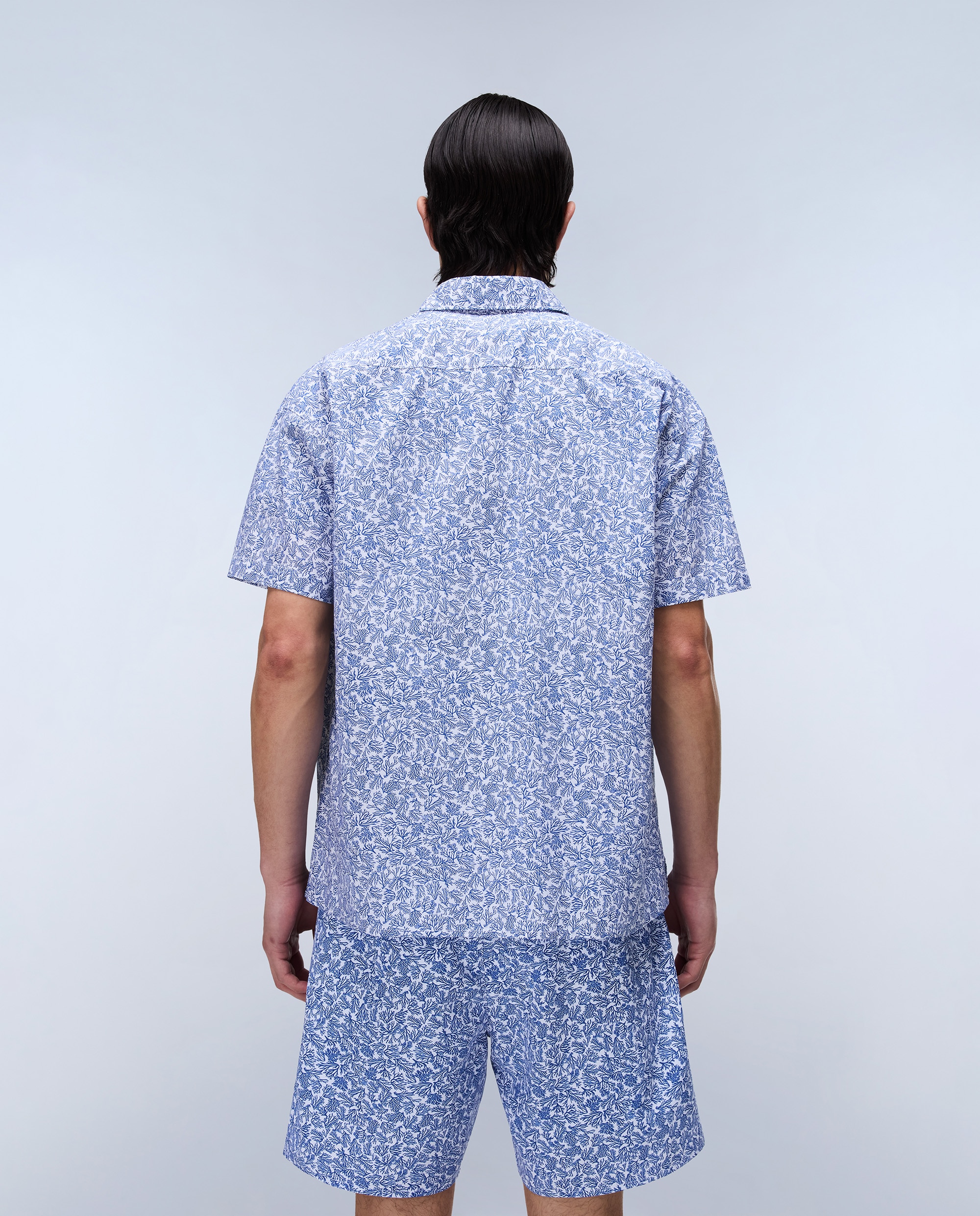 Imagen 4 de Camisa de algodón elior de hombre con manga corta de corte relaxed estampada - Napapijri - Gris ceniza Gris ceniza