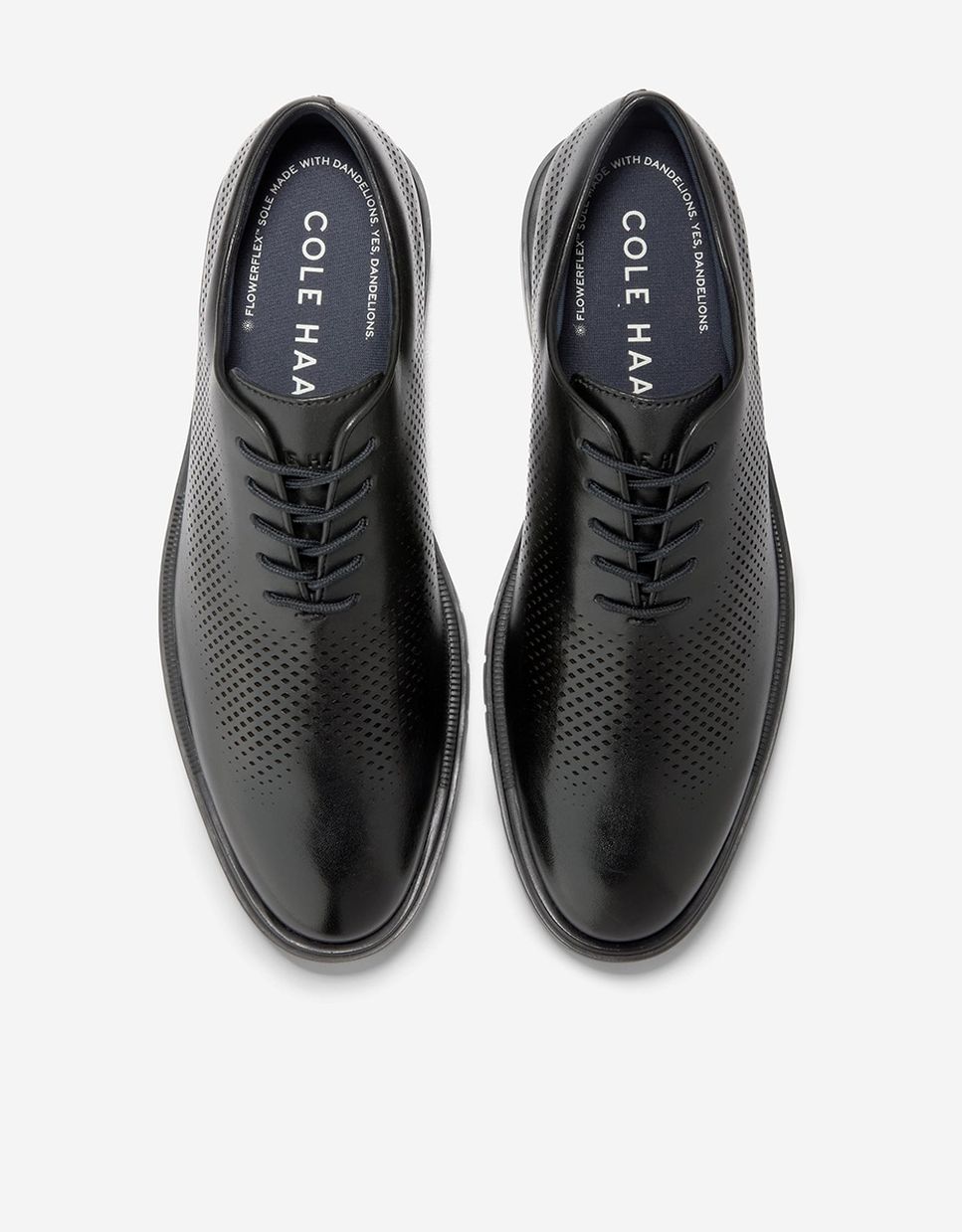 Zapato oxford de hombre confeccionado en piel con perforaciones en láser - Cole Haan - Negro Negro-5