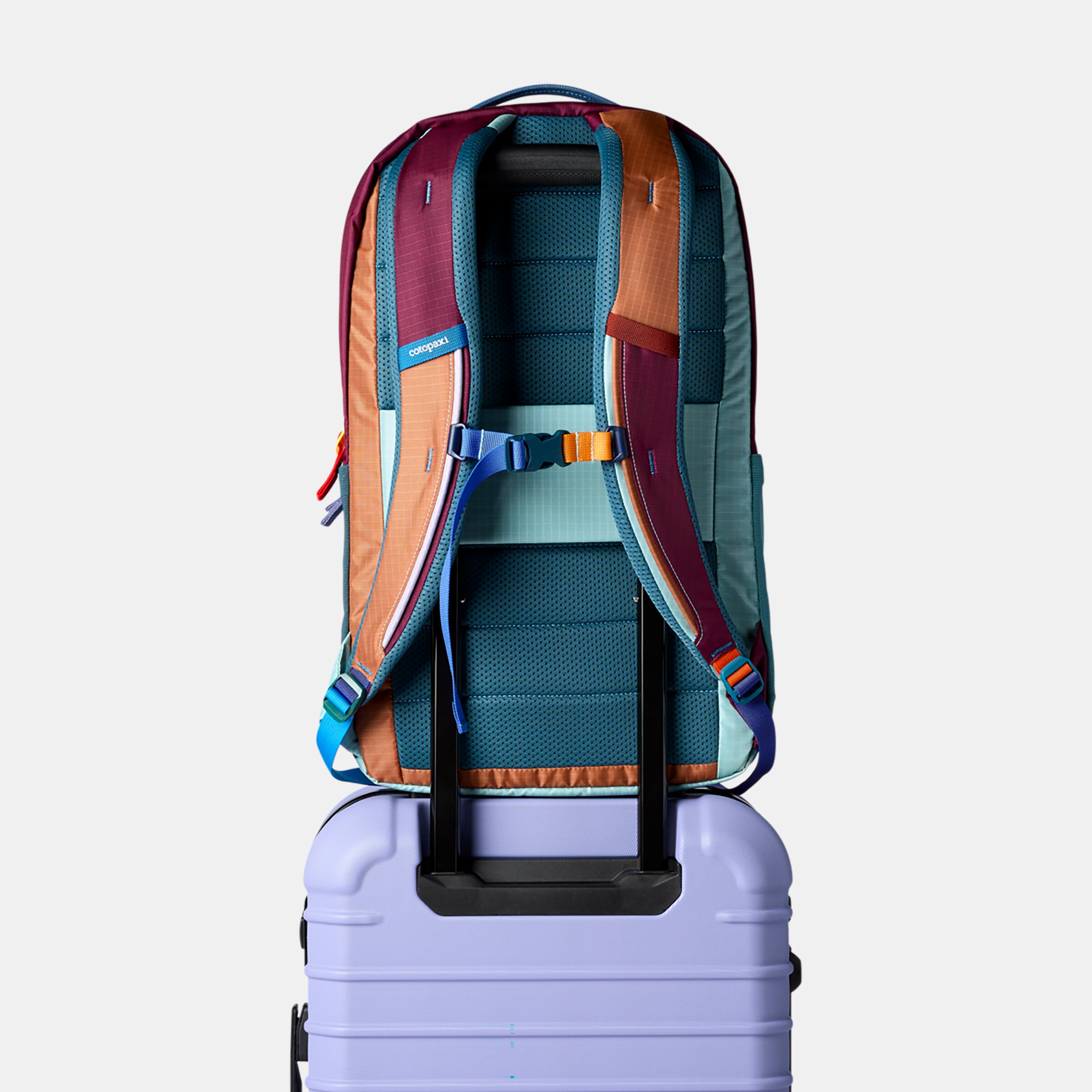 Imagen 4 de Mochila unisex Allpa 26l Daypack del día - Multicolor Multicolor