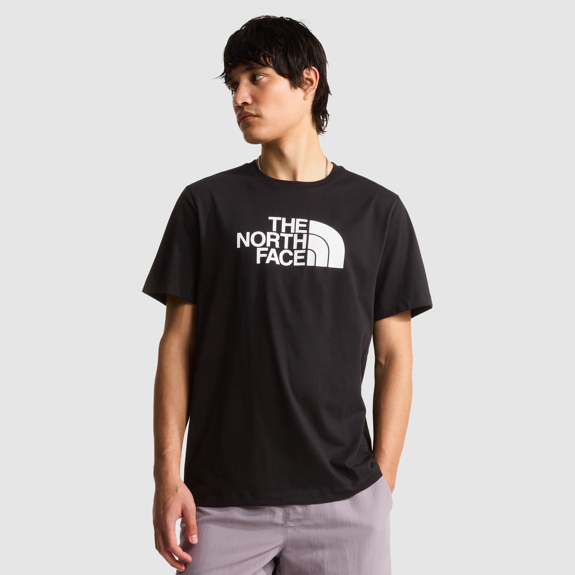Imagen 0 de Camiseta recta para hombre Half Dome Evolution The North Face Negro
