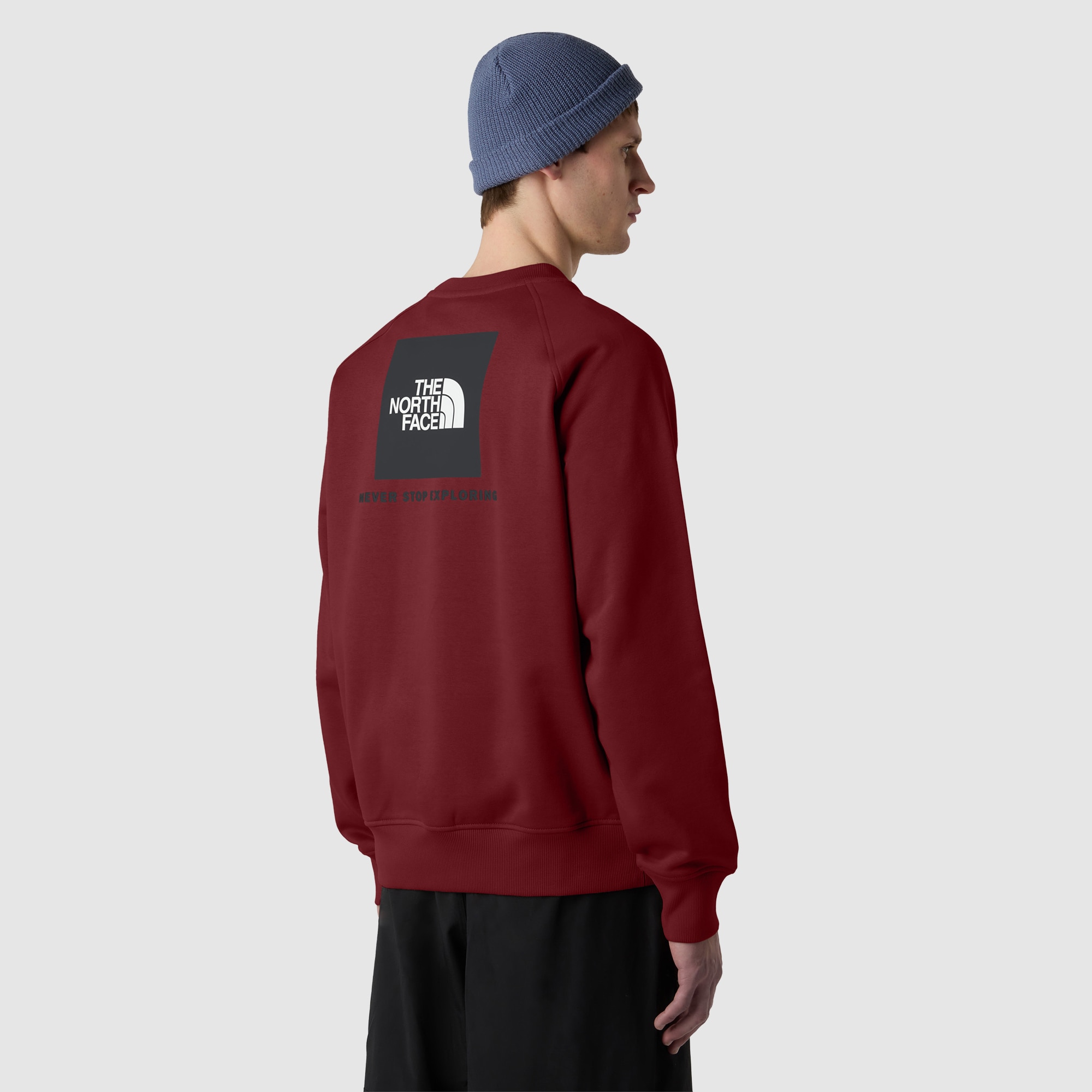 Sudadera con manga raglán NSE de hombre Box The North Face - Rojo Teja Rojo Teja-3