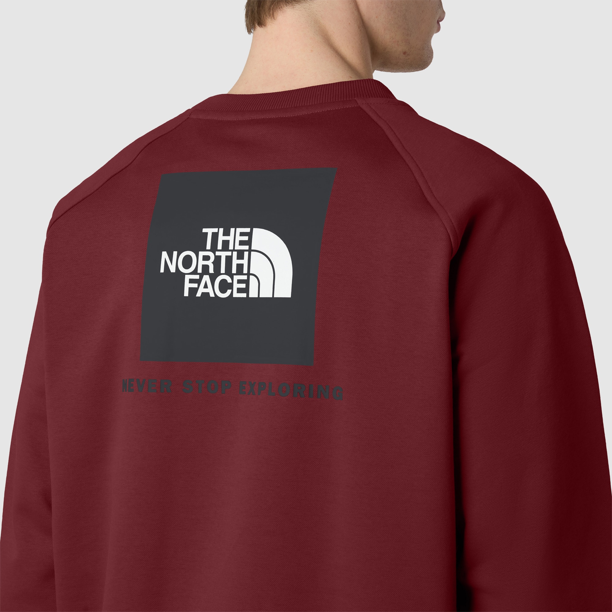 Sudadera con manga raglán NSE de hombre Box The North Face - Rojo Teja Rojo Teja-5