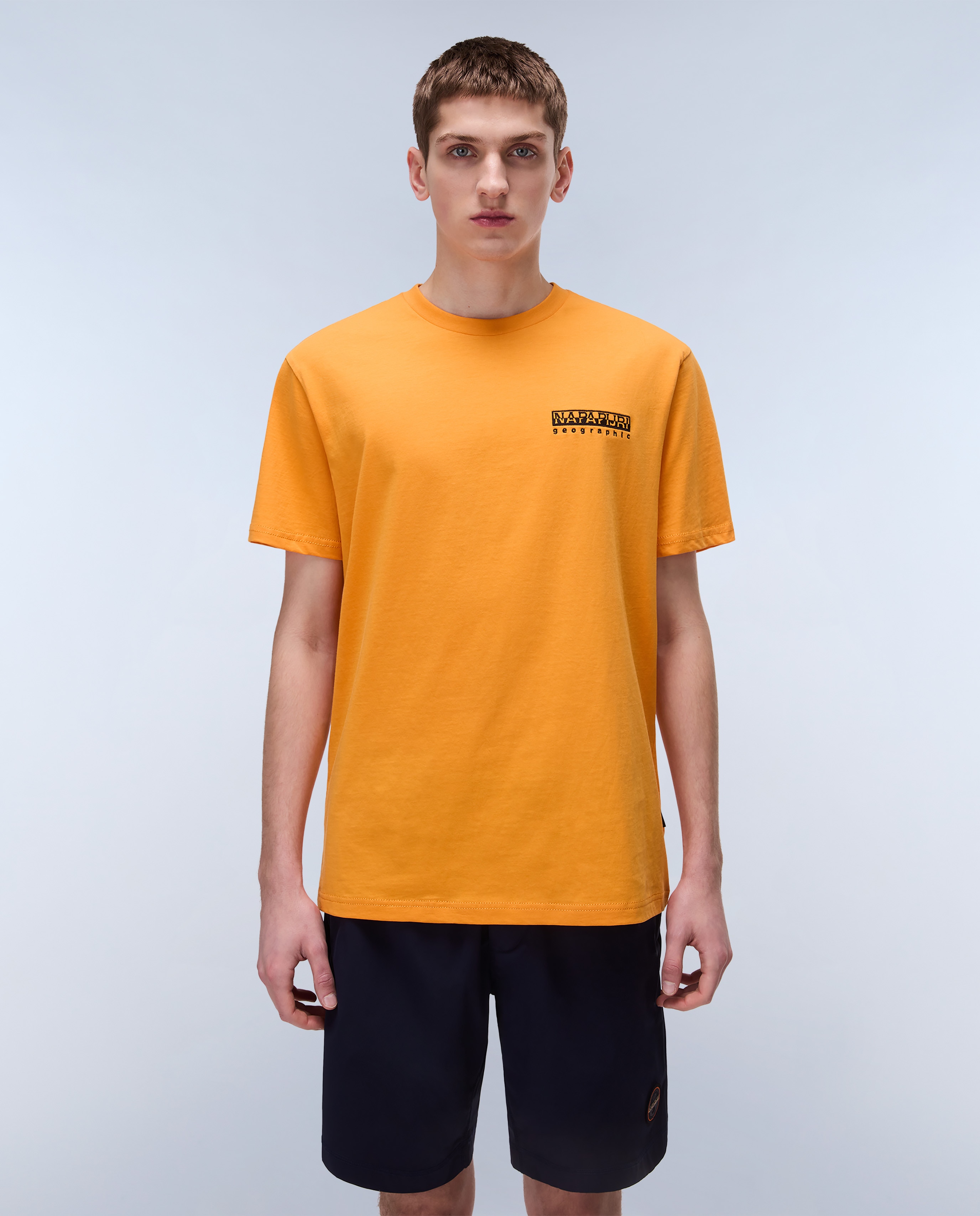 Napapijri - Camiseta de hombre Vignoni Back SS de manga corta.