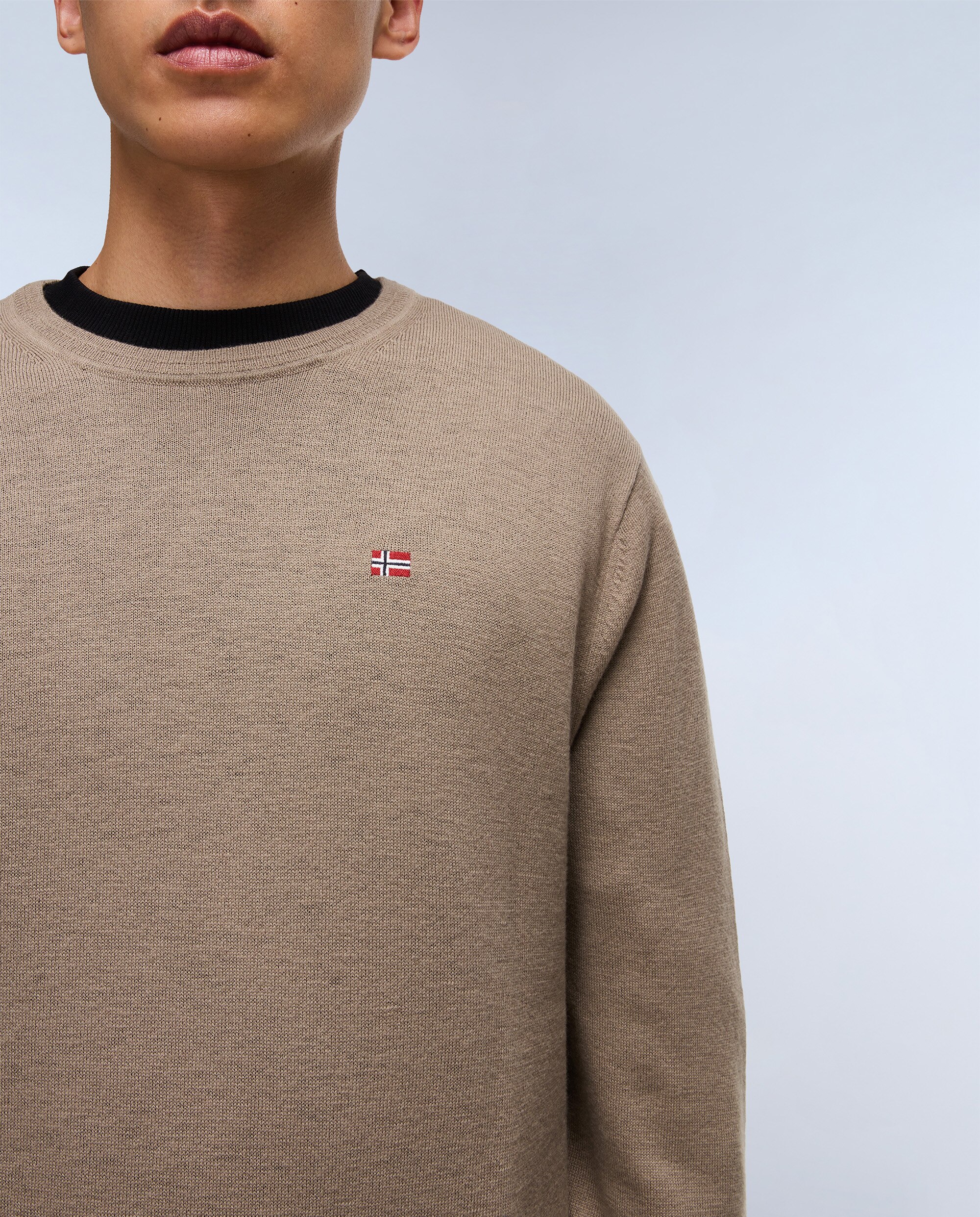 Jersey de hombre damavand c 4 de cuello redondo - Napapijri - Marrón piedra Marrón piedra-3