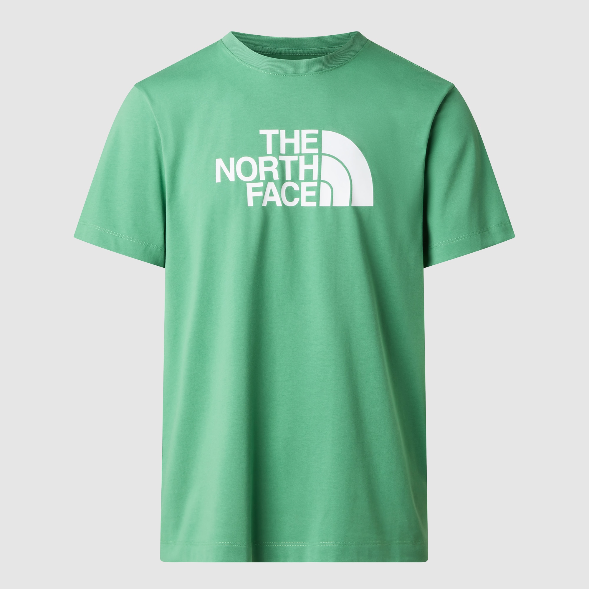 Camiseta recta para hombre Half Dome Evolution The North Face - Verde Agua Verde Agua-1