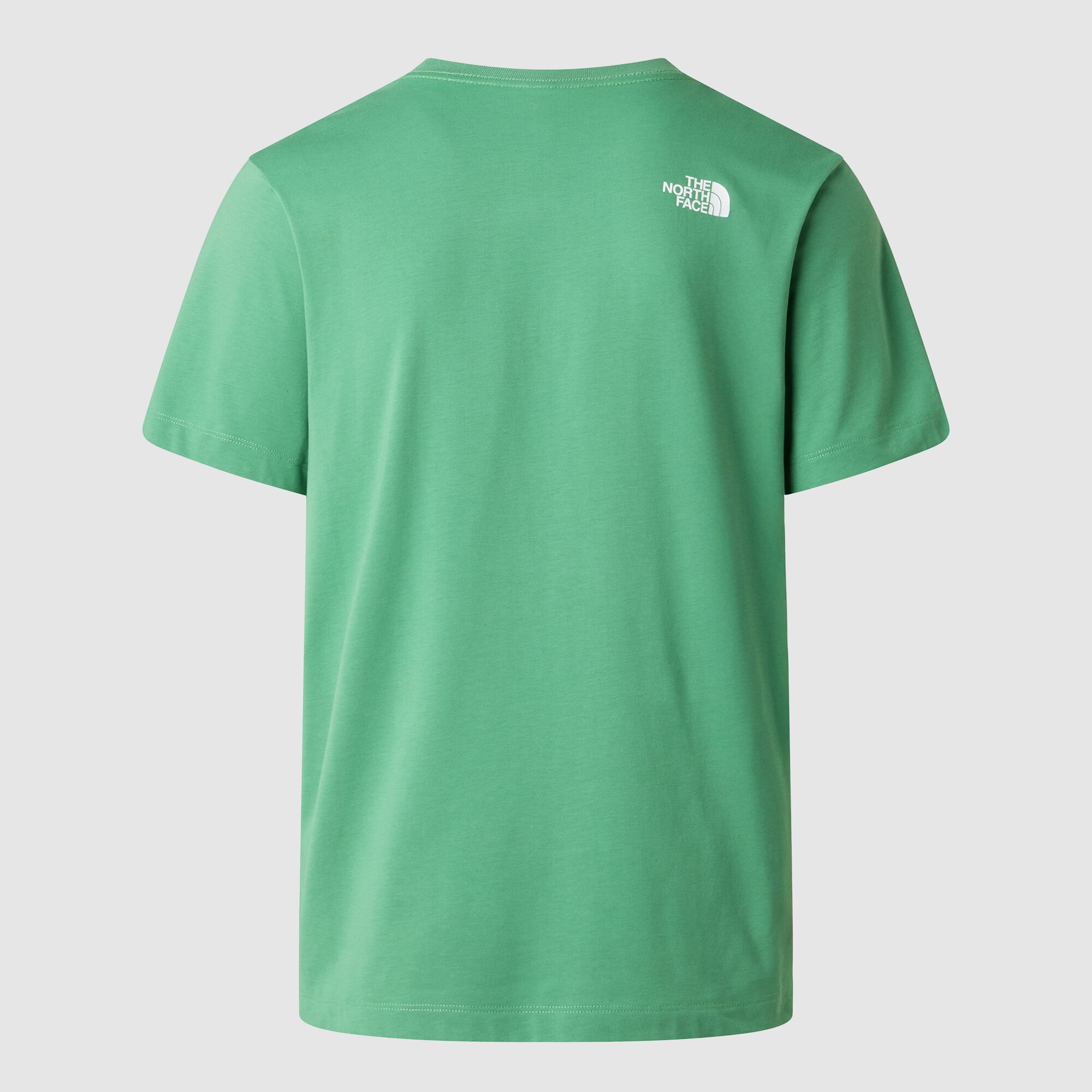 Camiseta recta para hombre Half Dome Evolution The North Face - Verde Agua Verde Agua-2