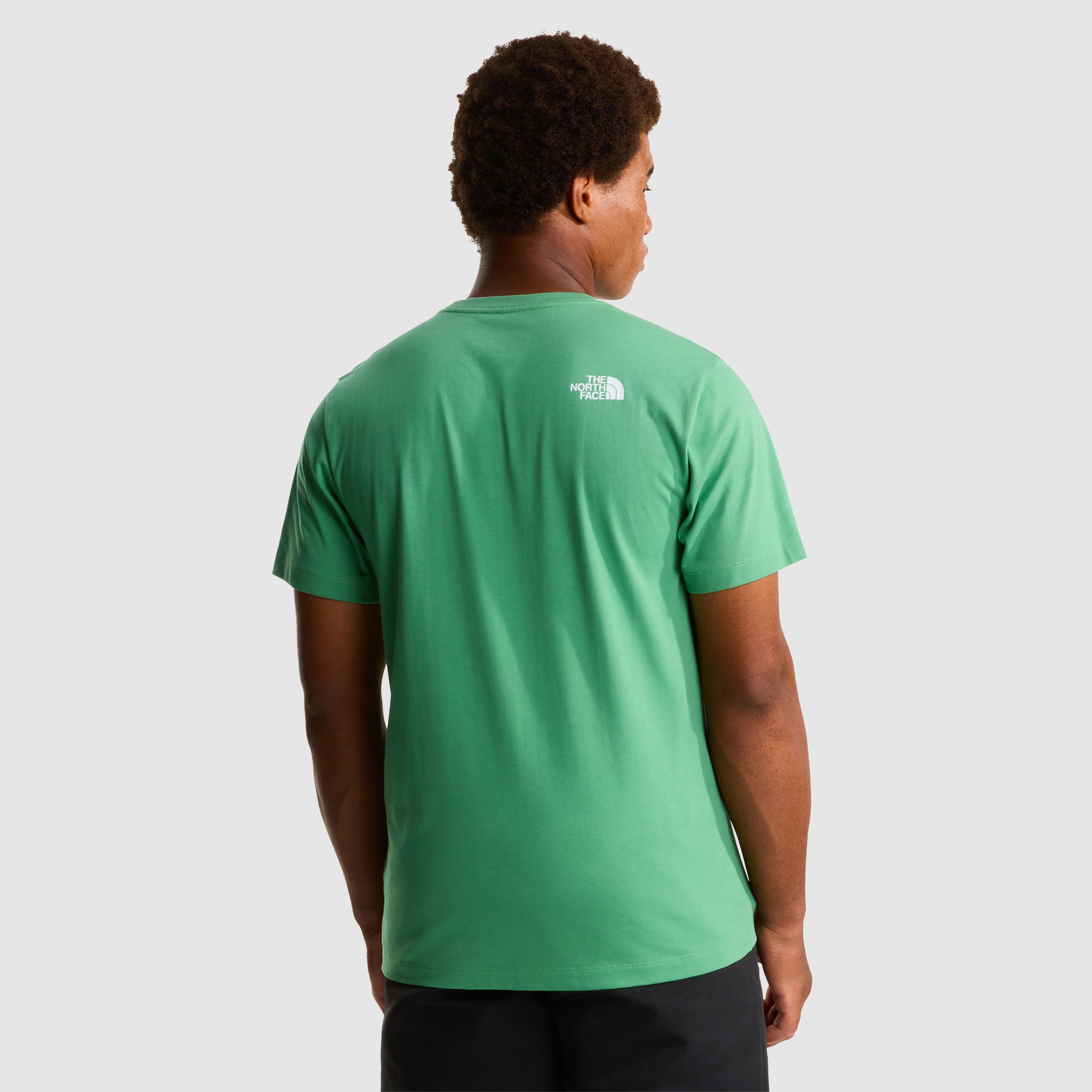 Camiseta recta para hombre Half Dome Evolution The North Face - Verde Agua Verde Agua-5