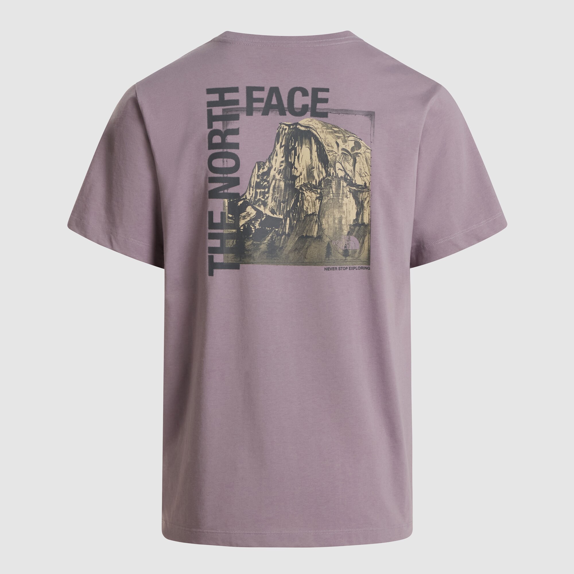 Imagen 8 de Camiseta gráfica recta para hombre Half Dome Photo The North Face - Gris Gris