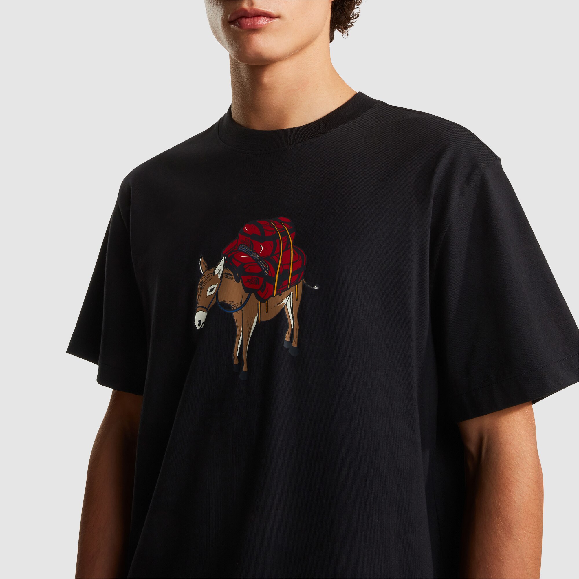 Camiseta holgada con estampado para hombre Donkey Taxi The North Face - Negro Negro-5