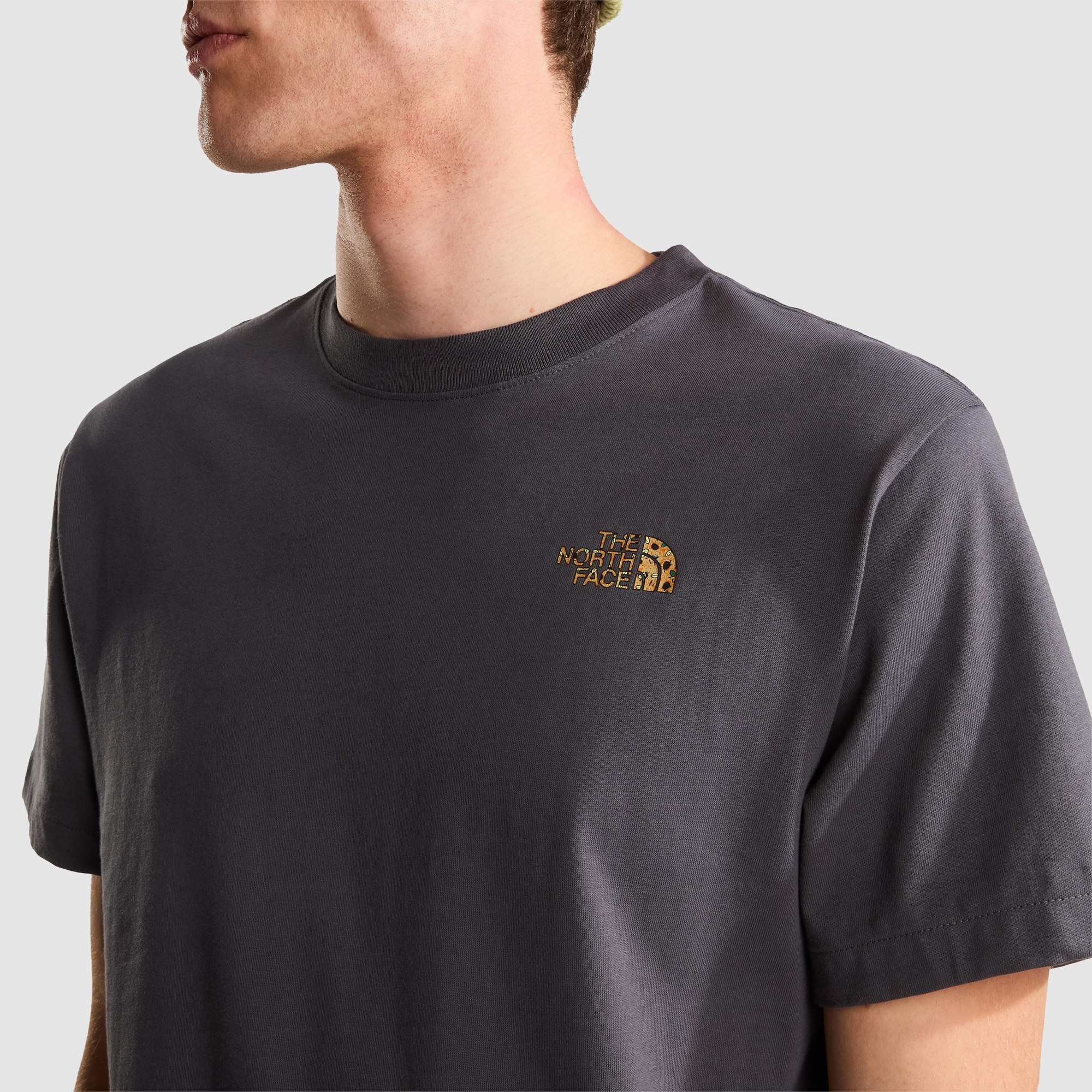 Camiseta holgada con estampado gráfico para hombre TNF Snack The North Face - Gris Gris-5