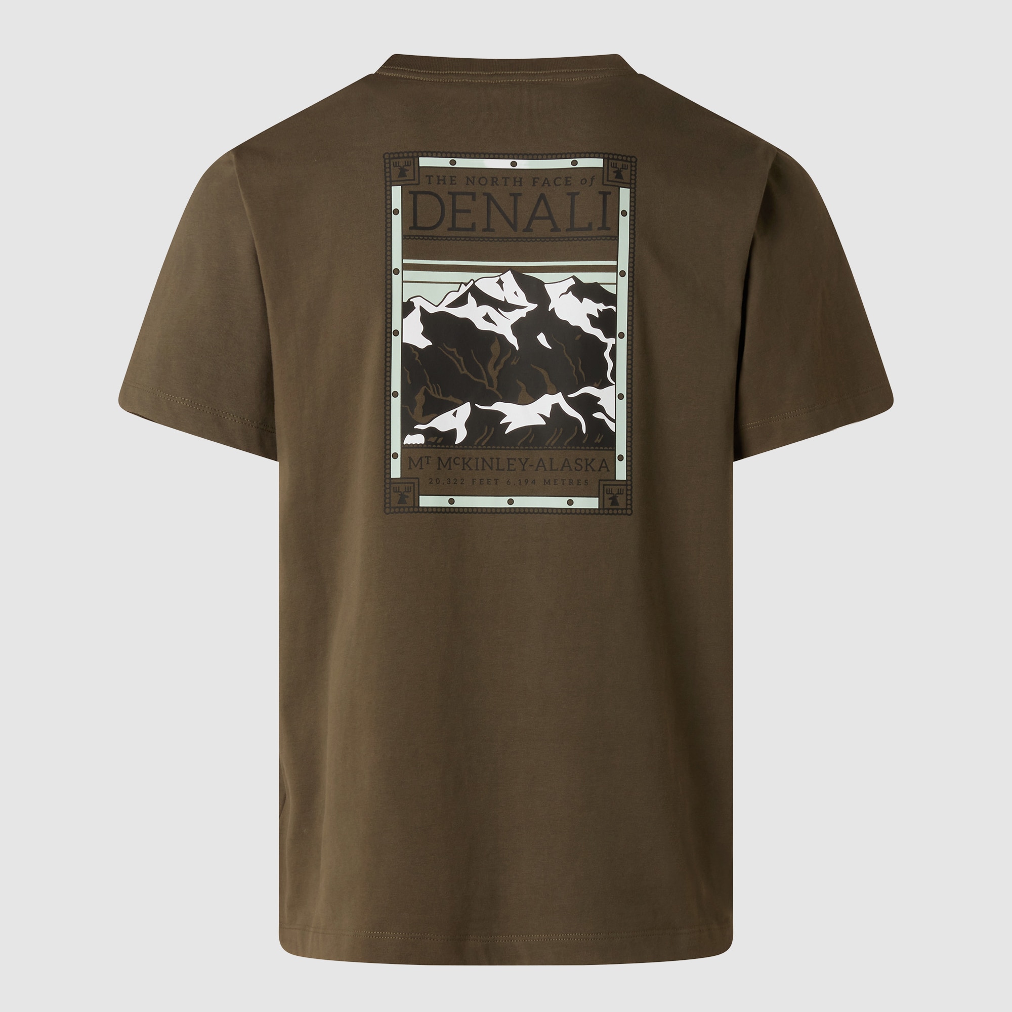 Camiseta recta con estampado gráfico para hombre North Faces The North Face - Verde Verde-6