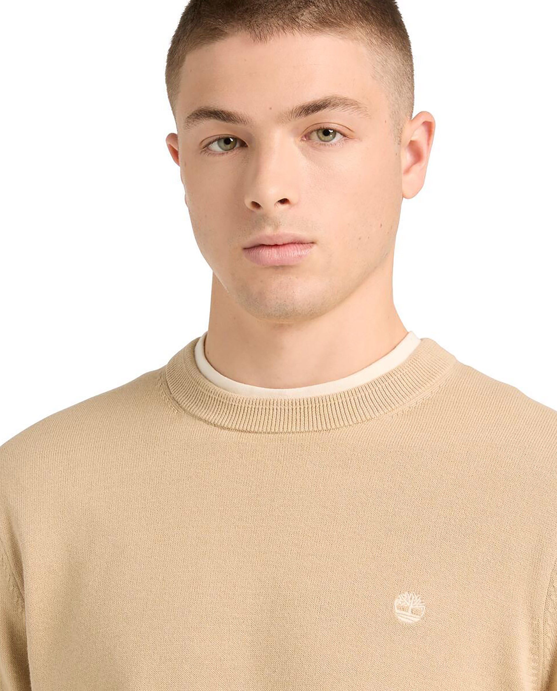 Jersey de hombre de algodón orgánico cuello redondo y logo bordado - Timberland - Beige Beige-3
