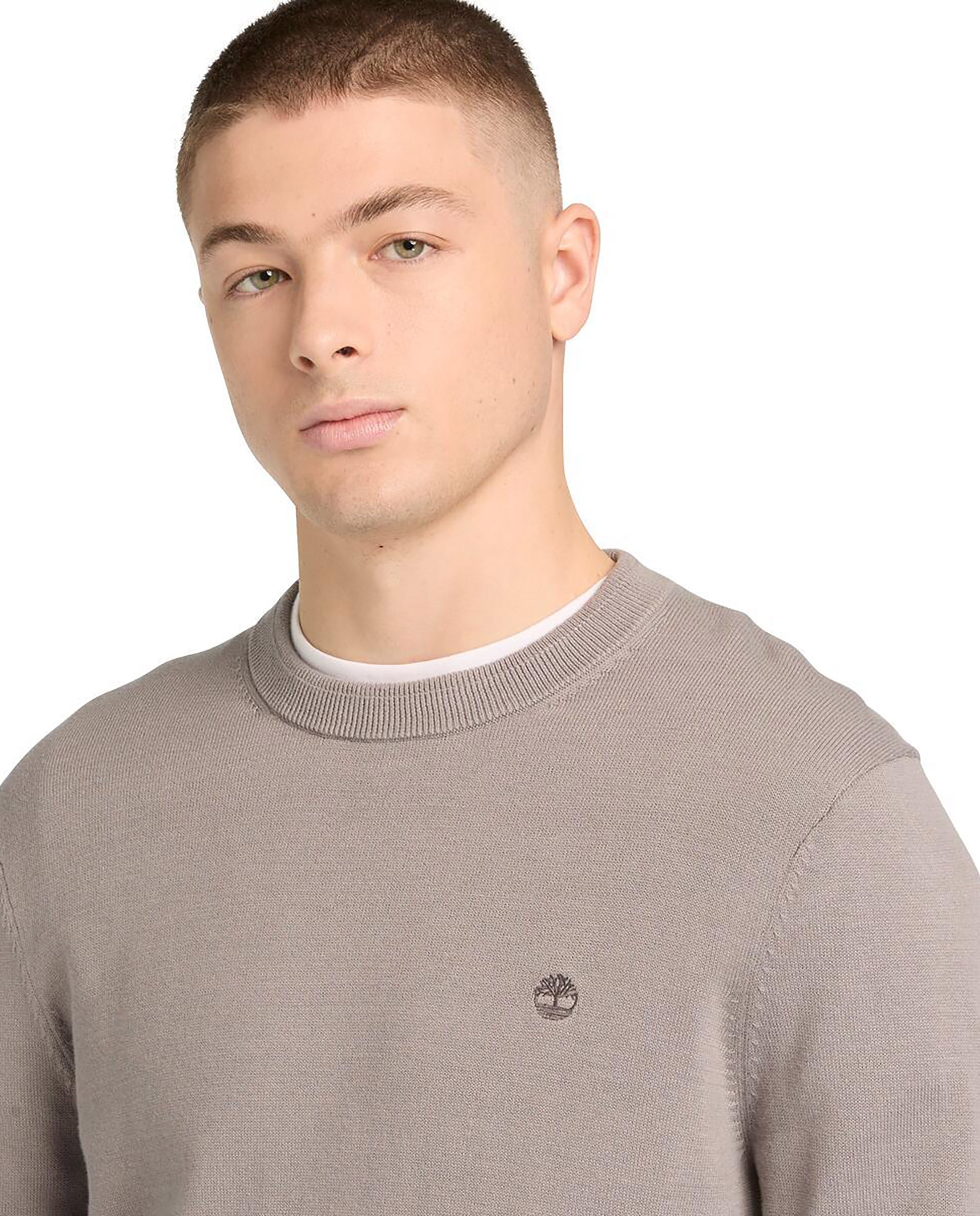 Jersey de hombre de algodón orgánico cuello redondo y logo bordado - Timberland - Gris Gris-3