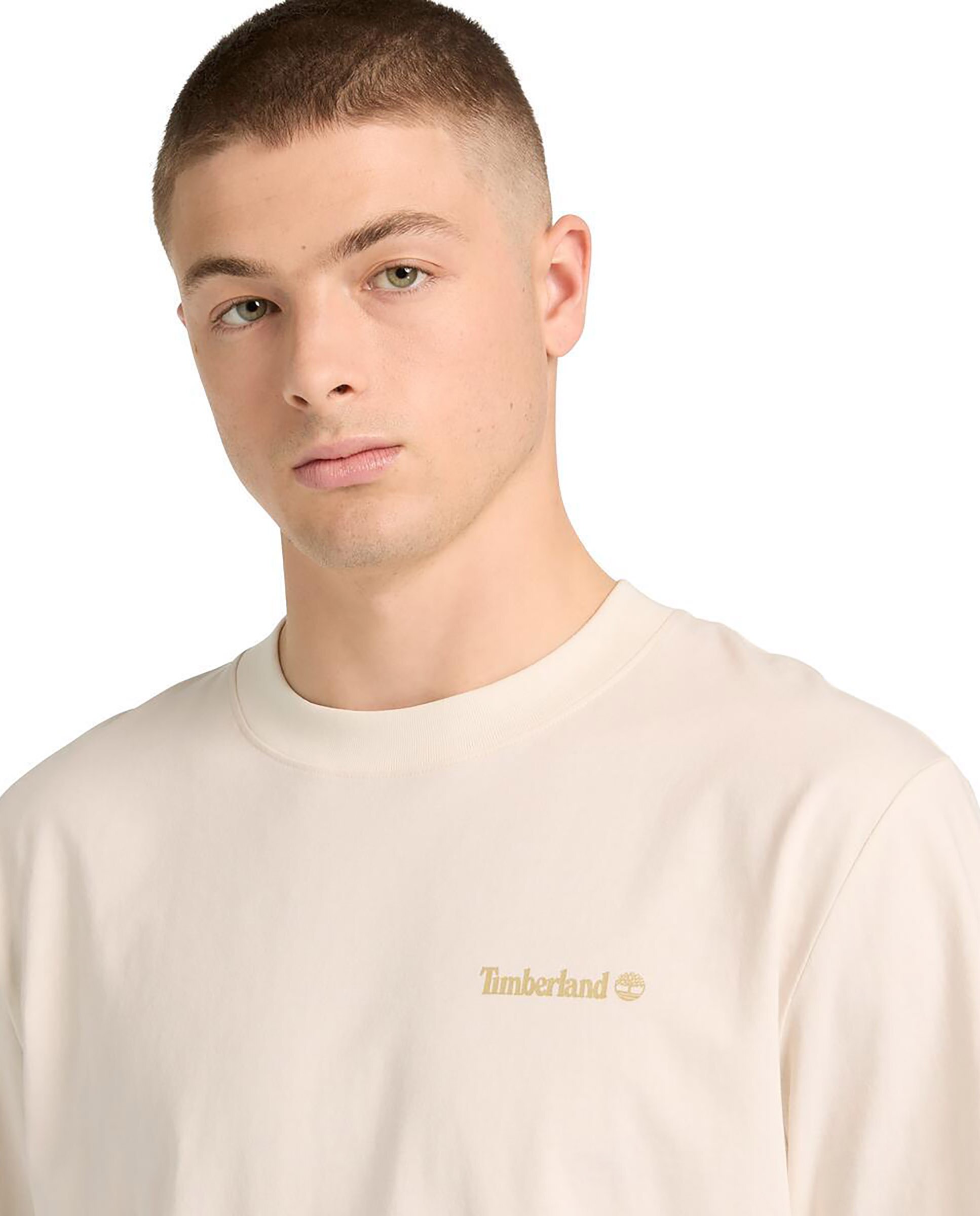 Camiseta de manga corta de hombre authentic fit con multilogo en espalda - Timberland - Blanco roto Blanco roto-3