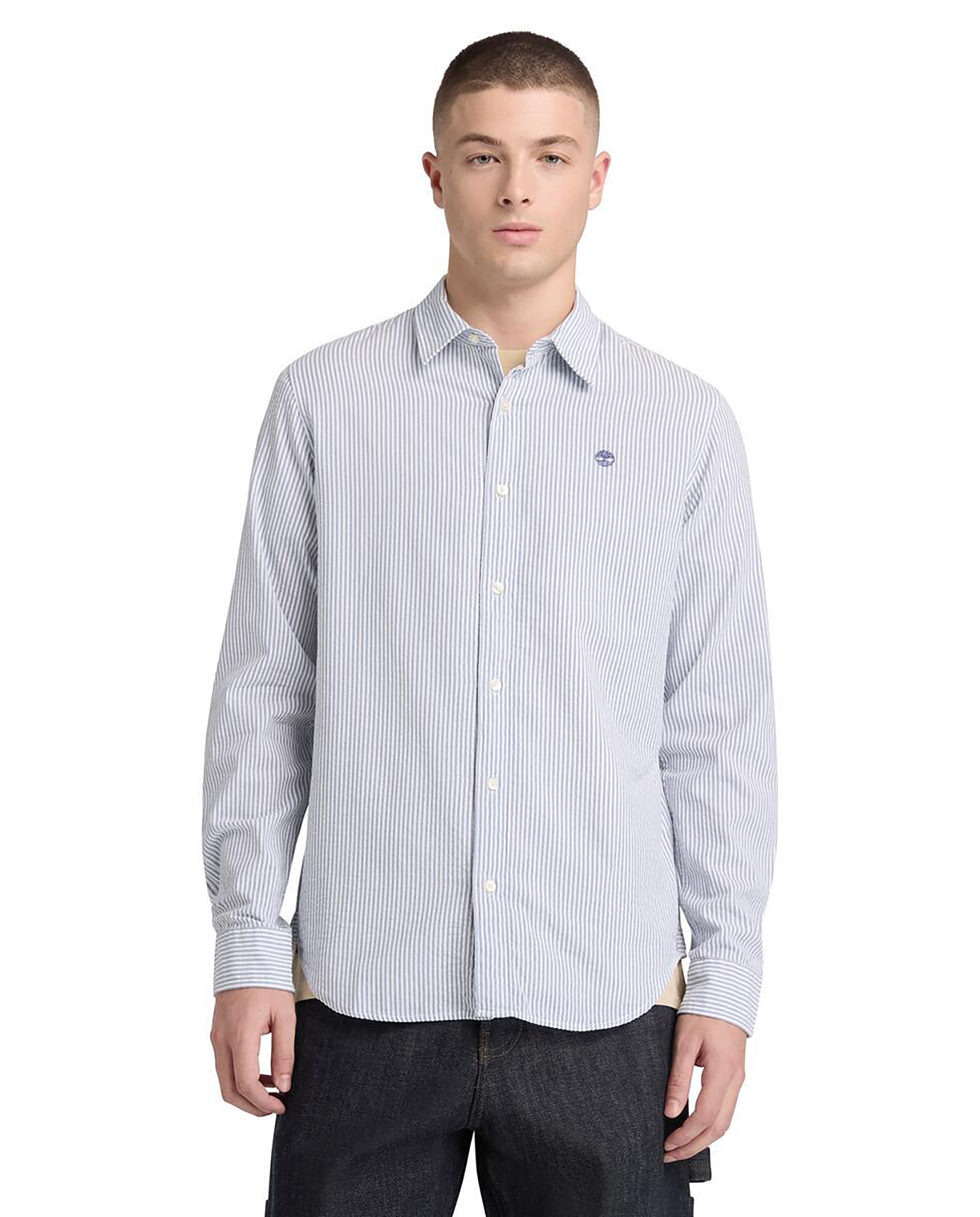 Imagen 0 de Camisa de hombre a rayas en algodón regular fit con logo bordado Azul celeste